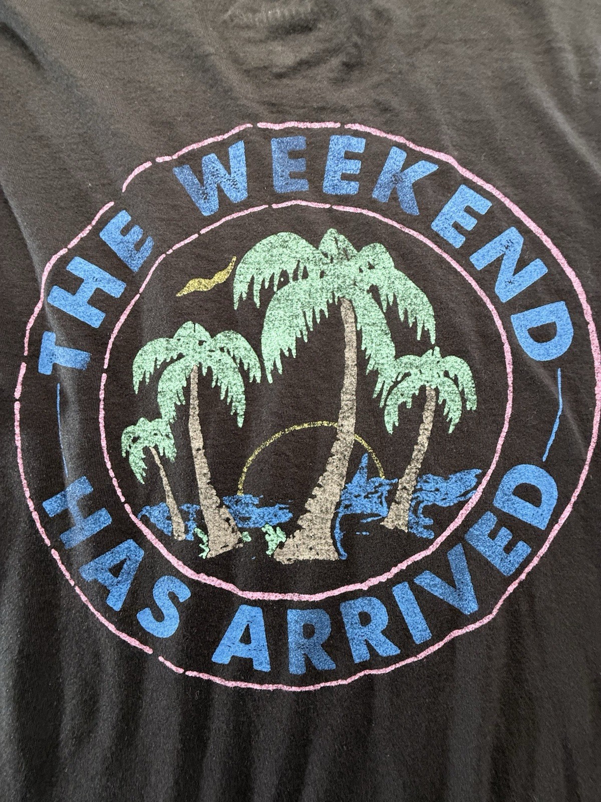 Chubbies T Shirt Men’s Medium Long Sleeve The Weekend Has Arrived