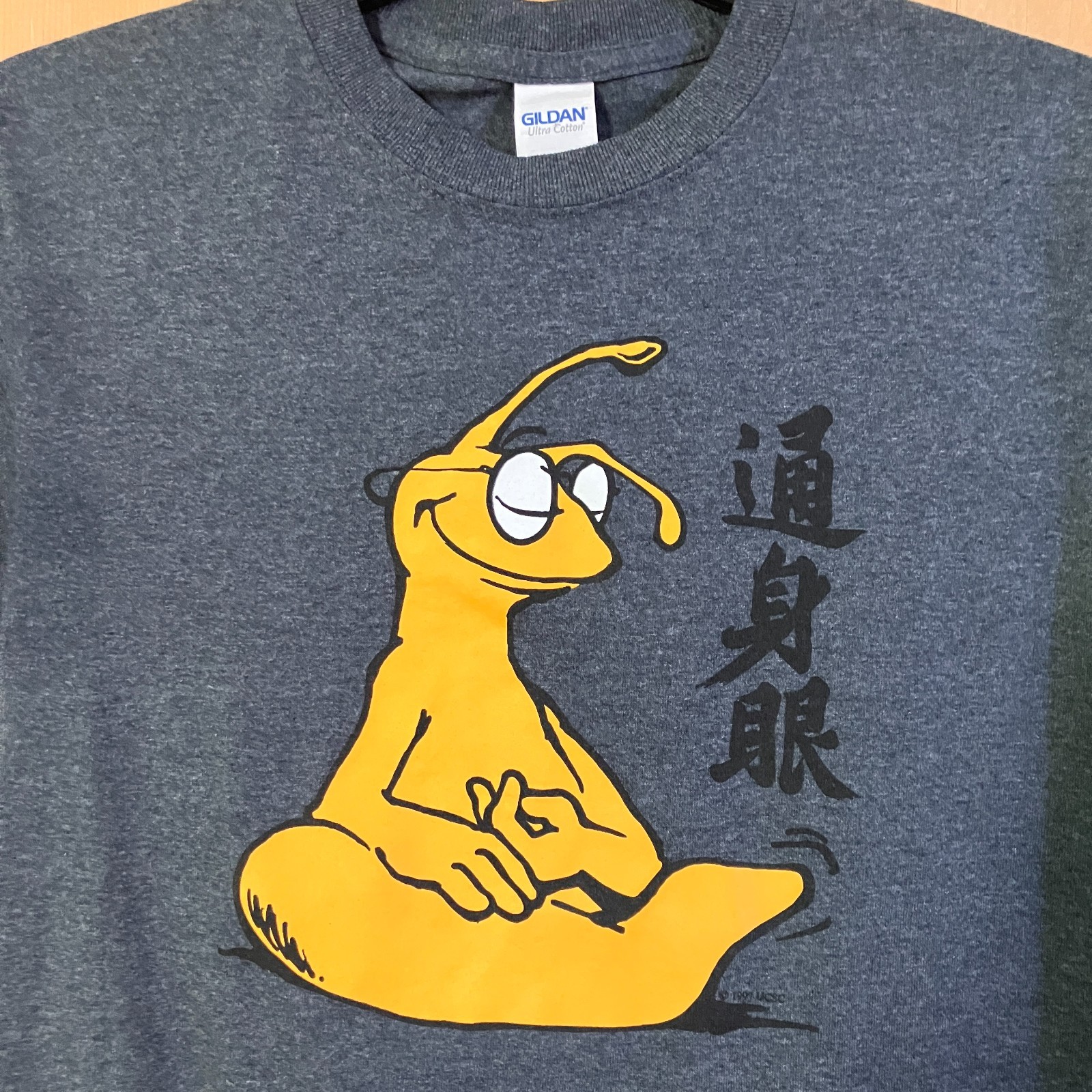 Gildan Mens Vintage 1997 UC Santa Cruz Zen Banana Slug Shirt Small Blue SP EXC