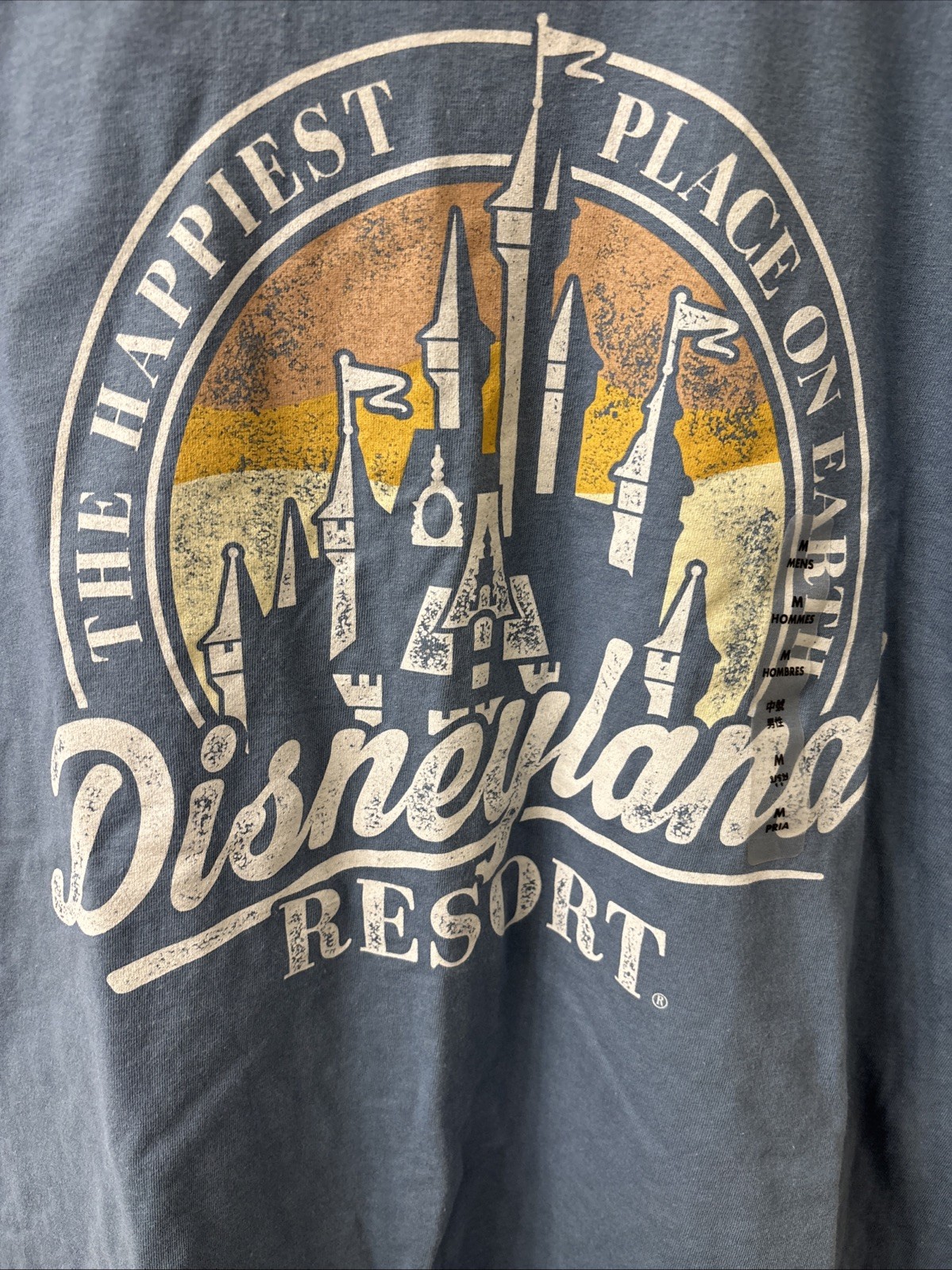 Disneyland Resort Graphic T-Shirt Mens M Medium Blue Happiest Place on Earth