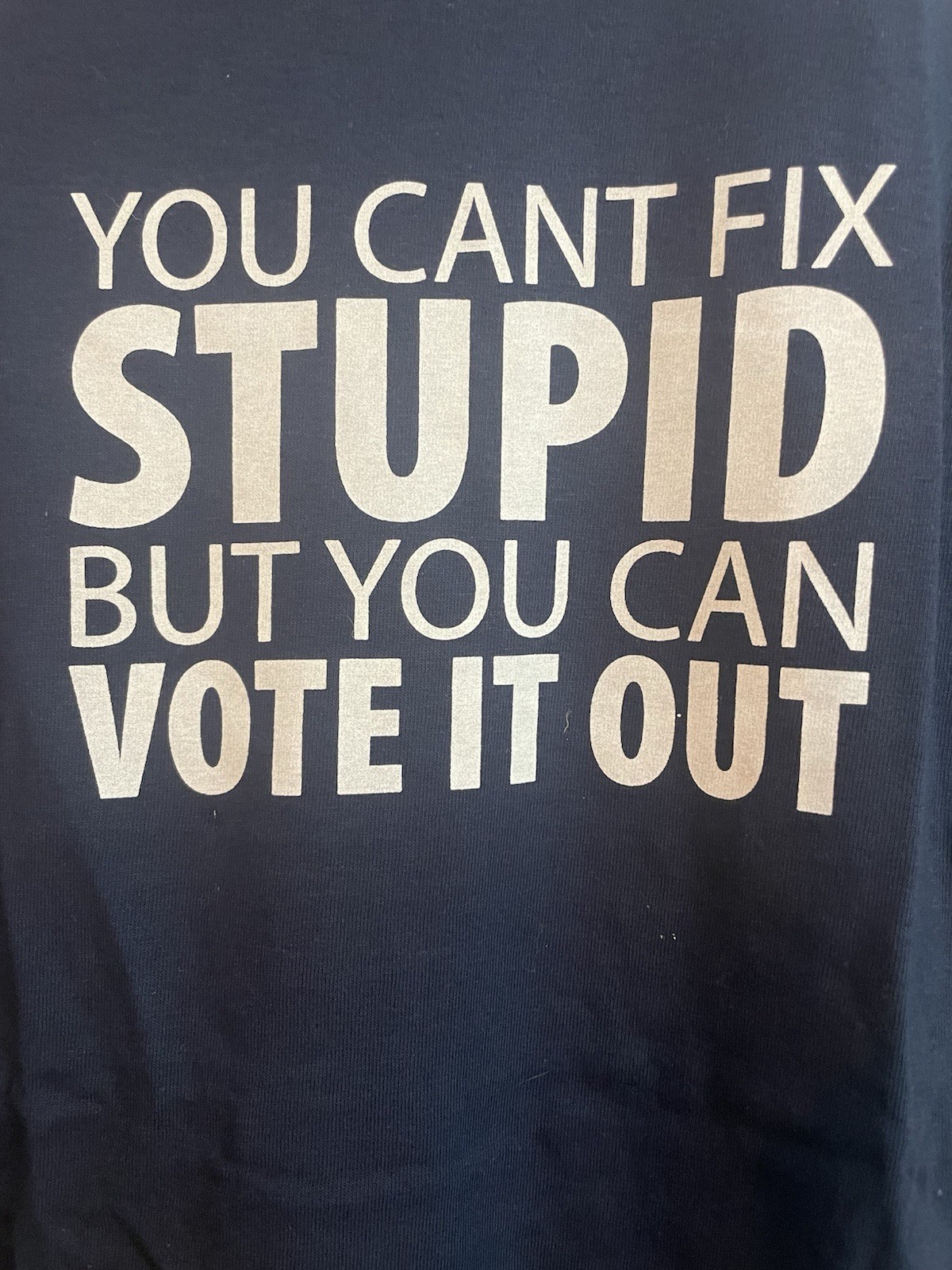 You Cant Fix Stupid But You Can Vote It Out Funny Political Graphic T Shirt