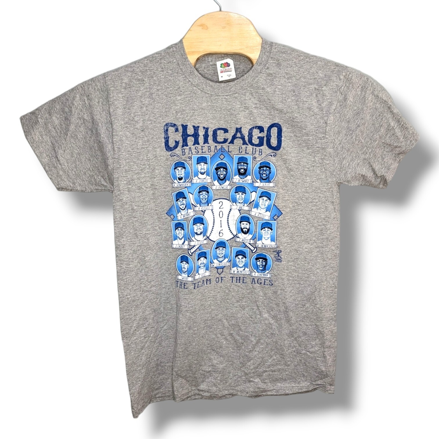 NWT Chicago Cubs World Champ 2016 Heather Gray T-Shirt MLB Size Medium