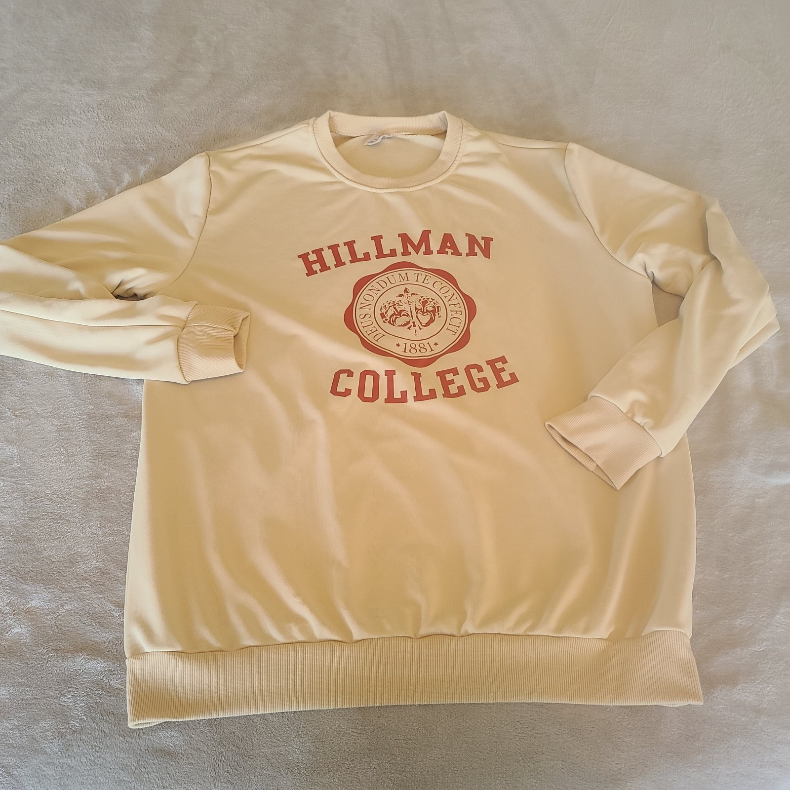 Hillman College Mens Extra Large Brown Sweatshirt Hoodie Pullover
