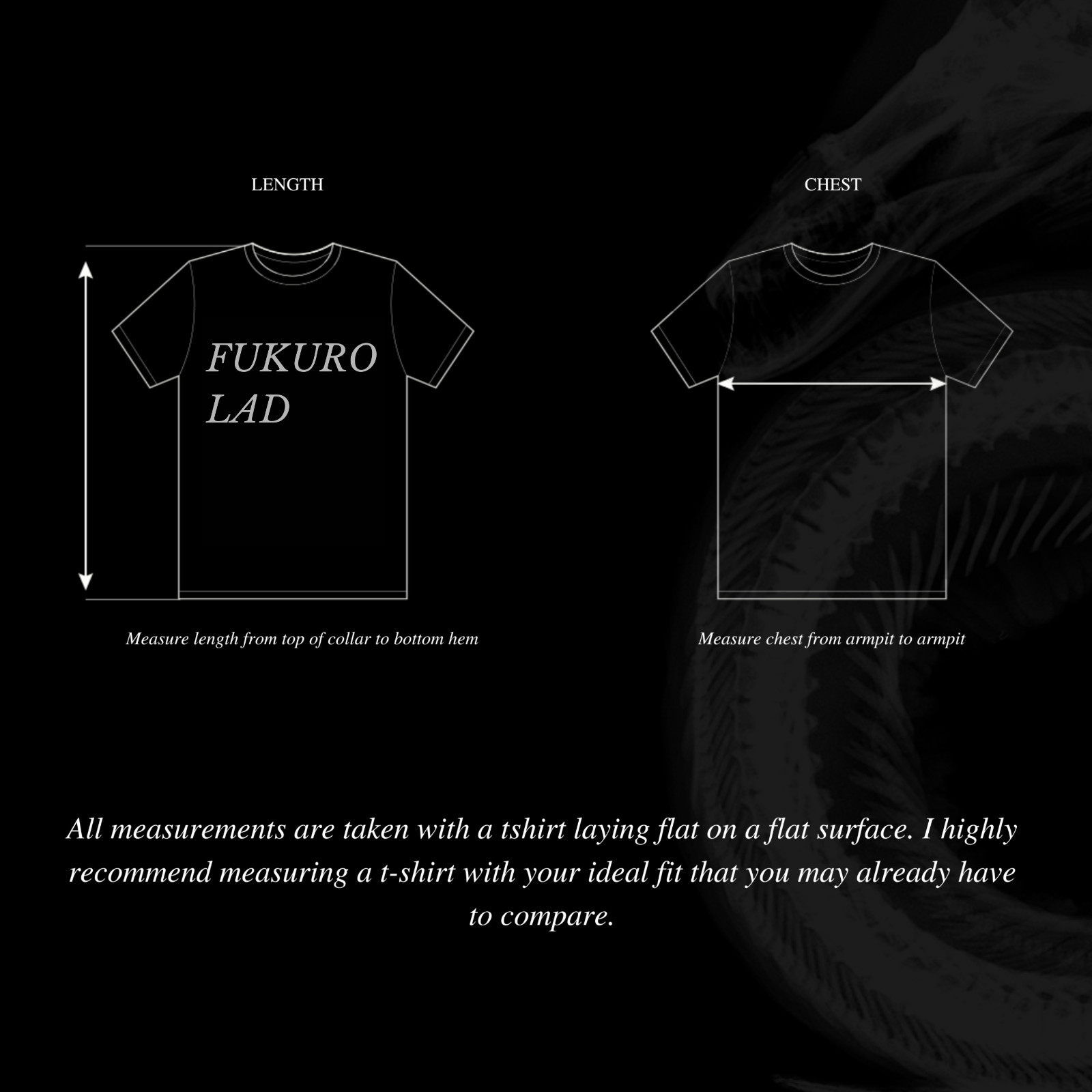 Inhuman ecstasy fulfilled – Possession 1981 FILM t-shirt – high quality print