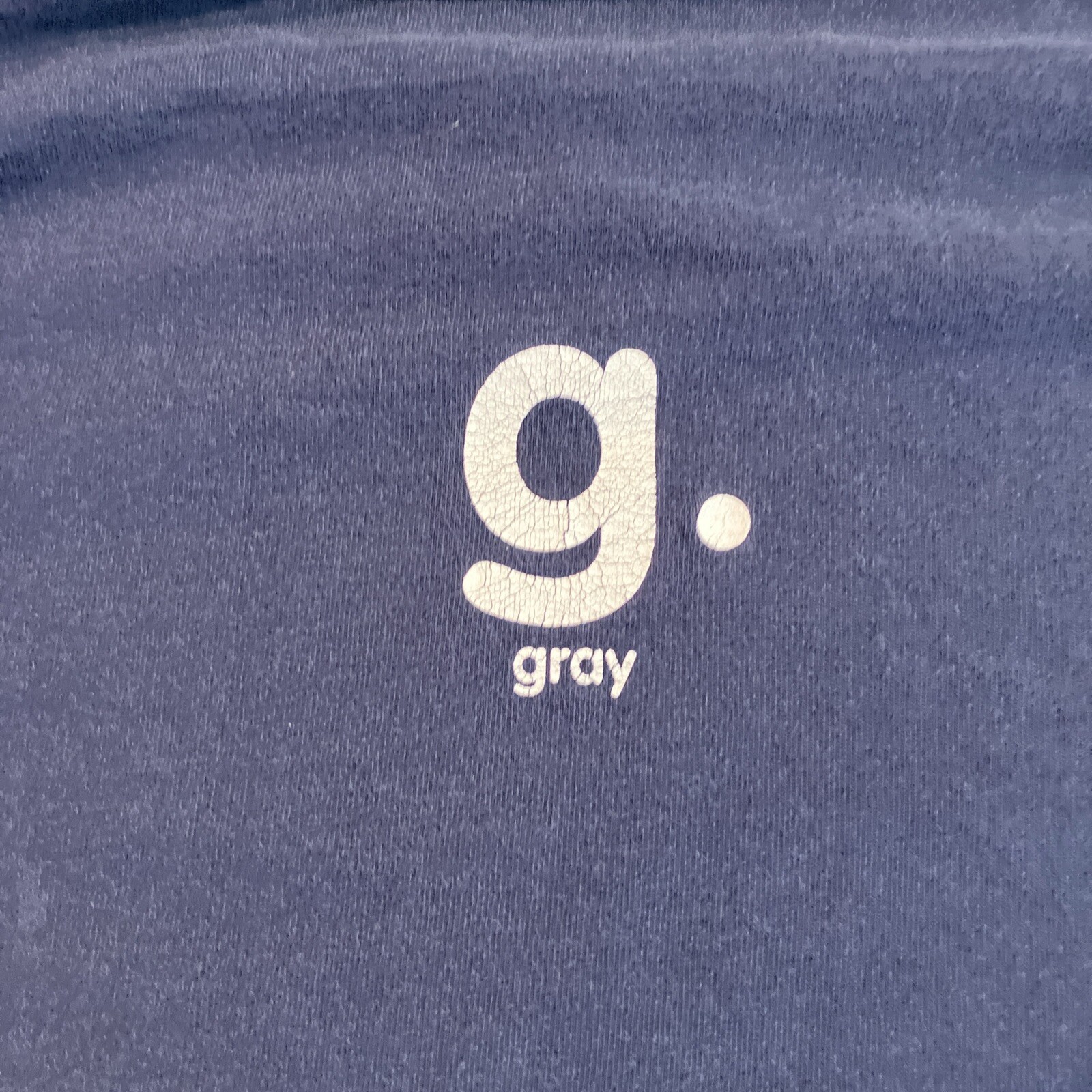 RARE – Vintage – Fruit Of The Loom – David Gray – D.G. – Blue T Shirt – Size XL
