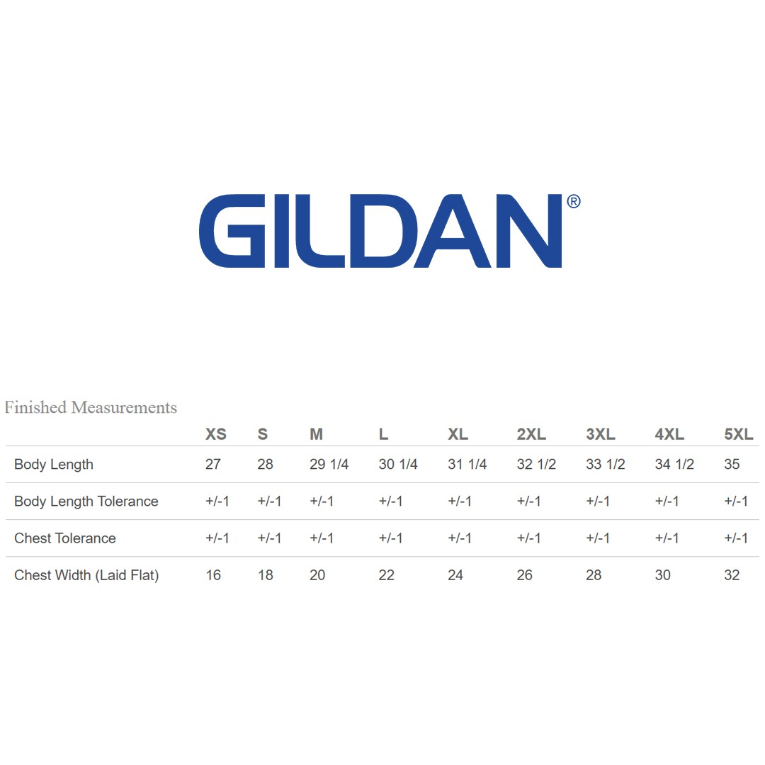 2 Pack Of Gildan G640 Adult Ringspun Short Sleeve Plain Softstyle Jersey T-Shirt