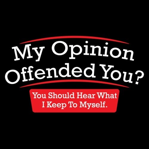 My Opinion Offended You Sarcastic Humor Graphic Novelty Funny T Shirt