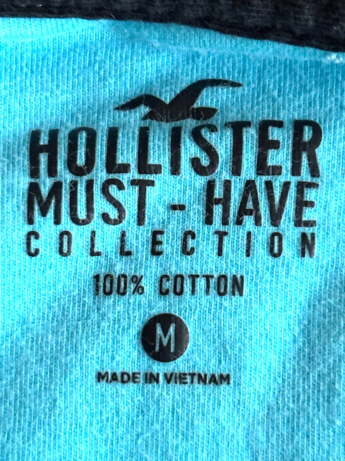 Hollister Must-Have Collection Ombre Tee Shirt Adult Medium Embroidered Logo