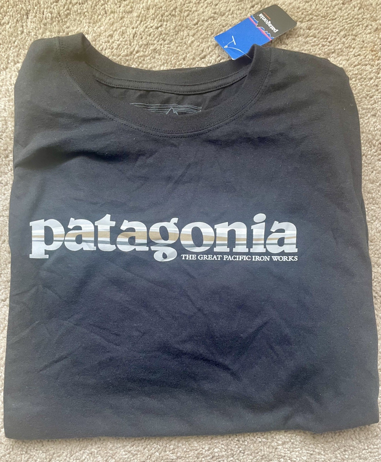 Patagonia Men’s ’73 Text Logo Organic T-shirt Ink Black Sz. L