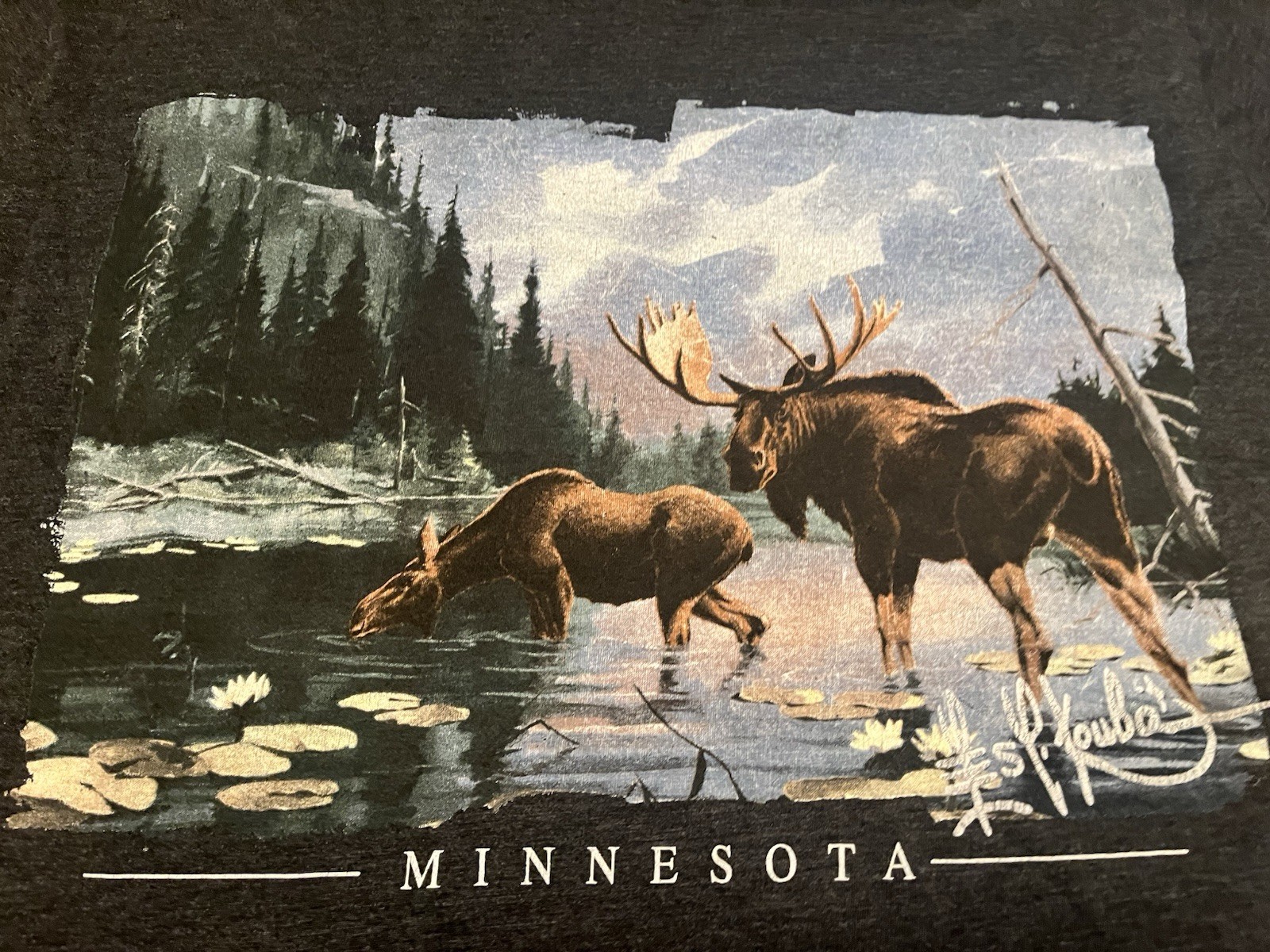 Minnesota Moose Drinking At River Nature Scene Large Gray T Shirt
