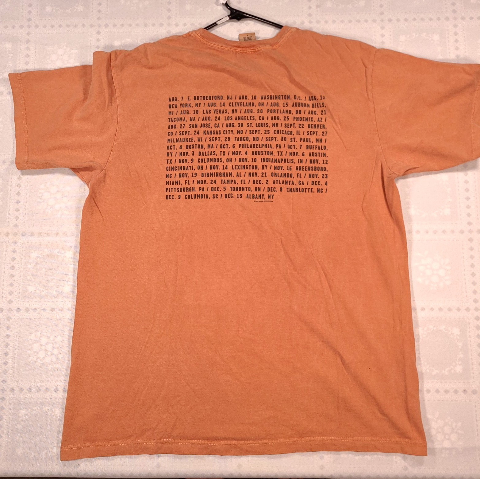 Bruce Springsteen The Rising Tour T Shirt 2003 Vintage Large Fits XL Garment Dye