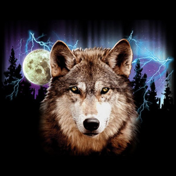 Wolf Lightning T Shirt Choose Style & Size Up to 4XL 10462