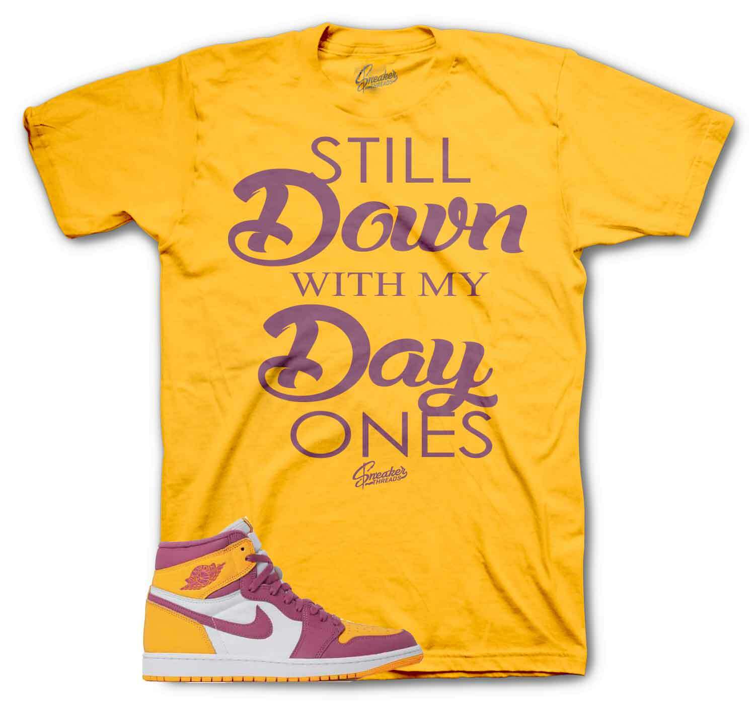 Shirt To Match Jordan 1 Brotherhood 1s Shoes – Day Ones Sneaker Tee