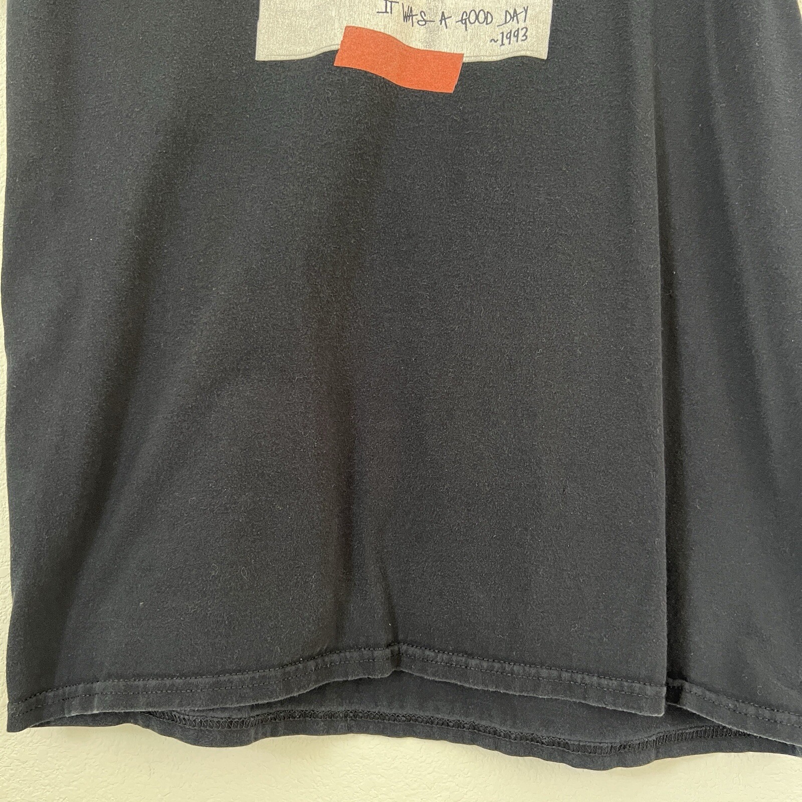 Ice Cube Graphic Shirt “It was a good day” Adult Size M Short sleeve Rap Retro