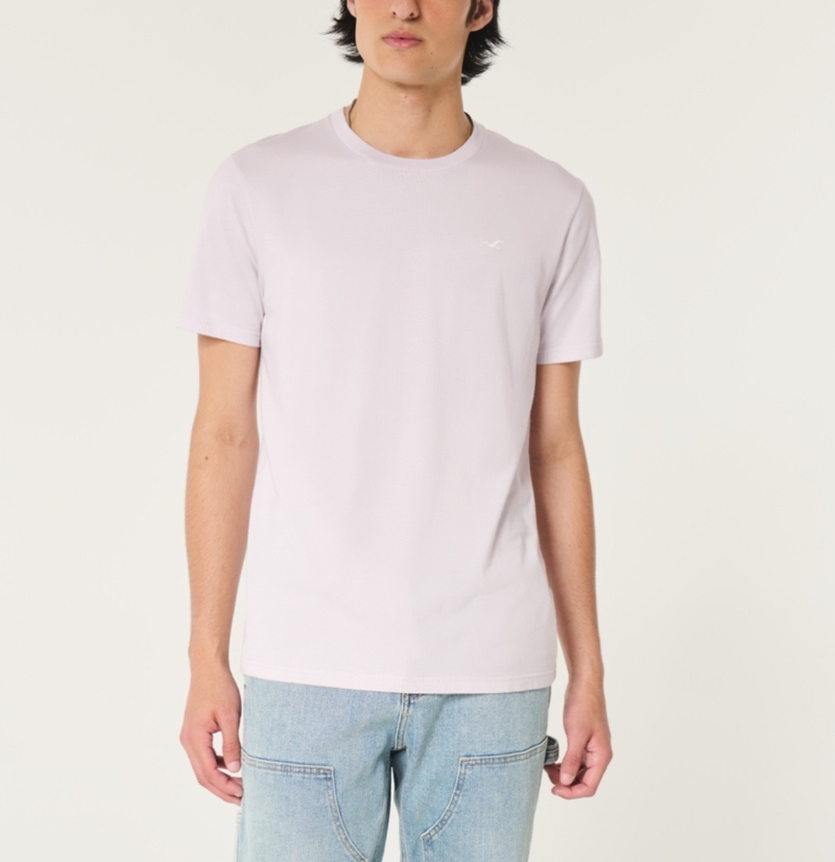 NWT HOLLISTER Men’s Short Sleeve Icon Tee T-shirt | Size M (Medium)