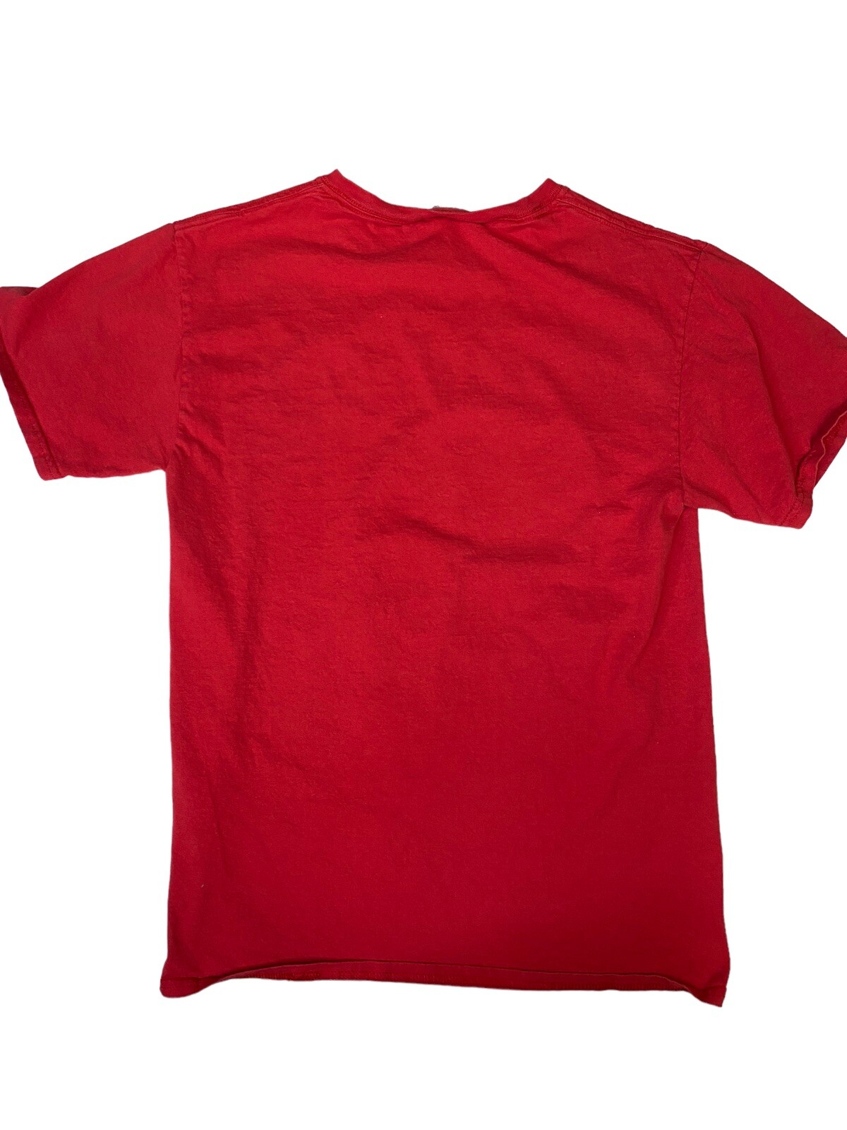 Alaska Salmonfest 2018 Men’s Red Small Staff T-Shirt EUC