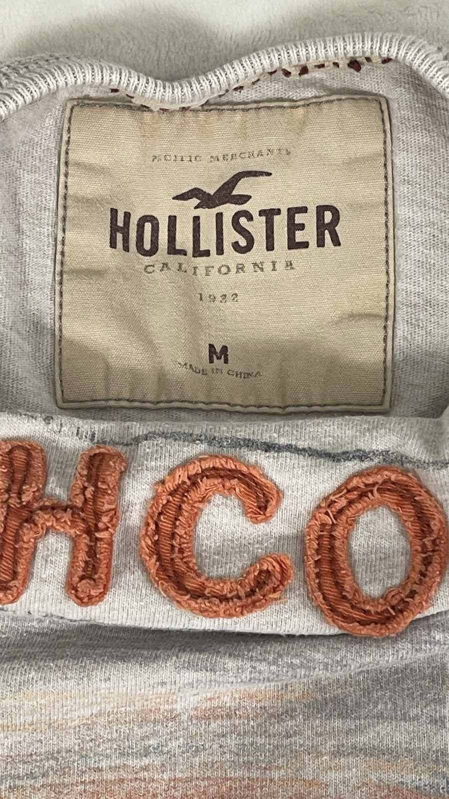 Hollister HCO Logo Short Sleeve T-Shirt Vintage Y2K Medium Preppy California