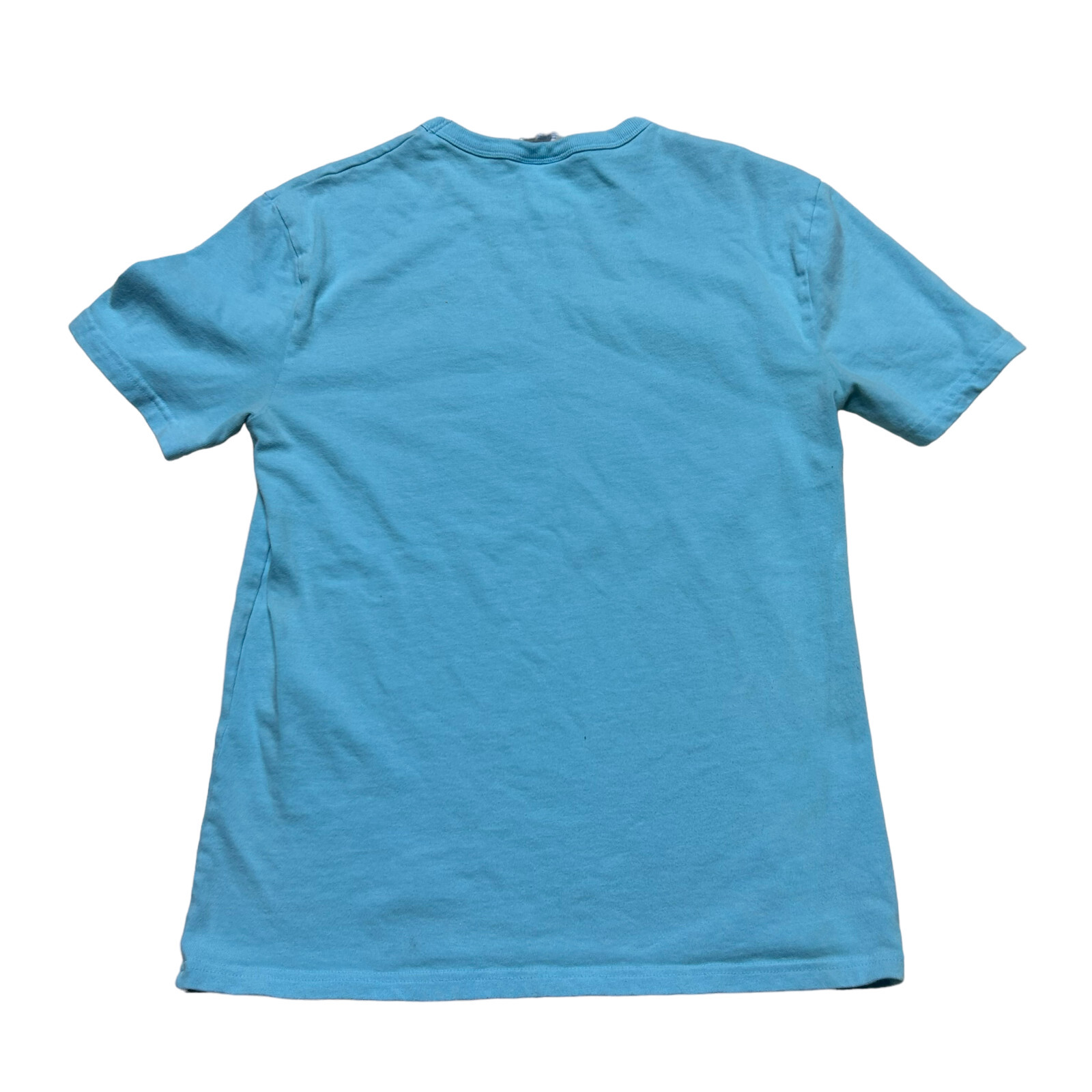 Champion Shirt Mens Small Aqua Blue Short Sleeve Casual Crew Neck