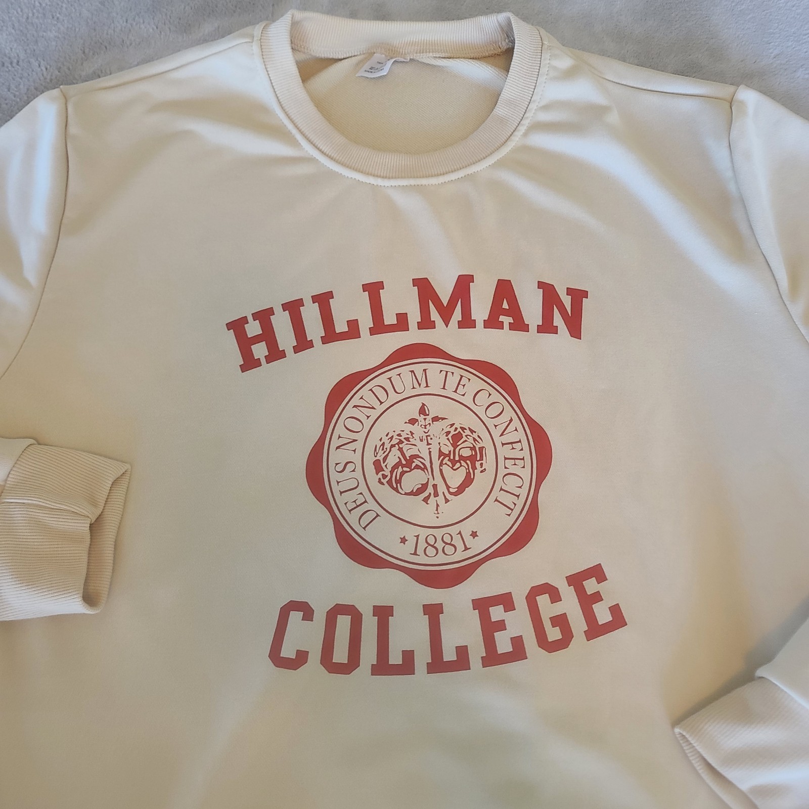 Hillman College Mens Extra Large Brown Sweatshirt Hoodie Pullover