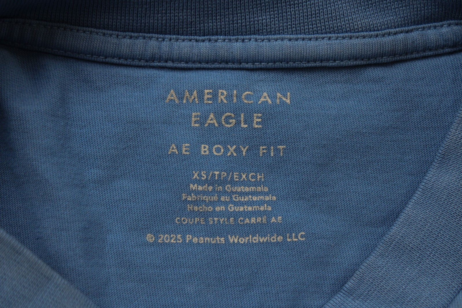 American Eagle Unisex Adult’s Boxy Fit Peanuts Keep On Hikin’ Tee WR4 Blue US:XS