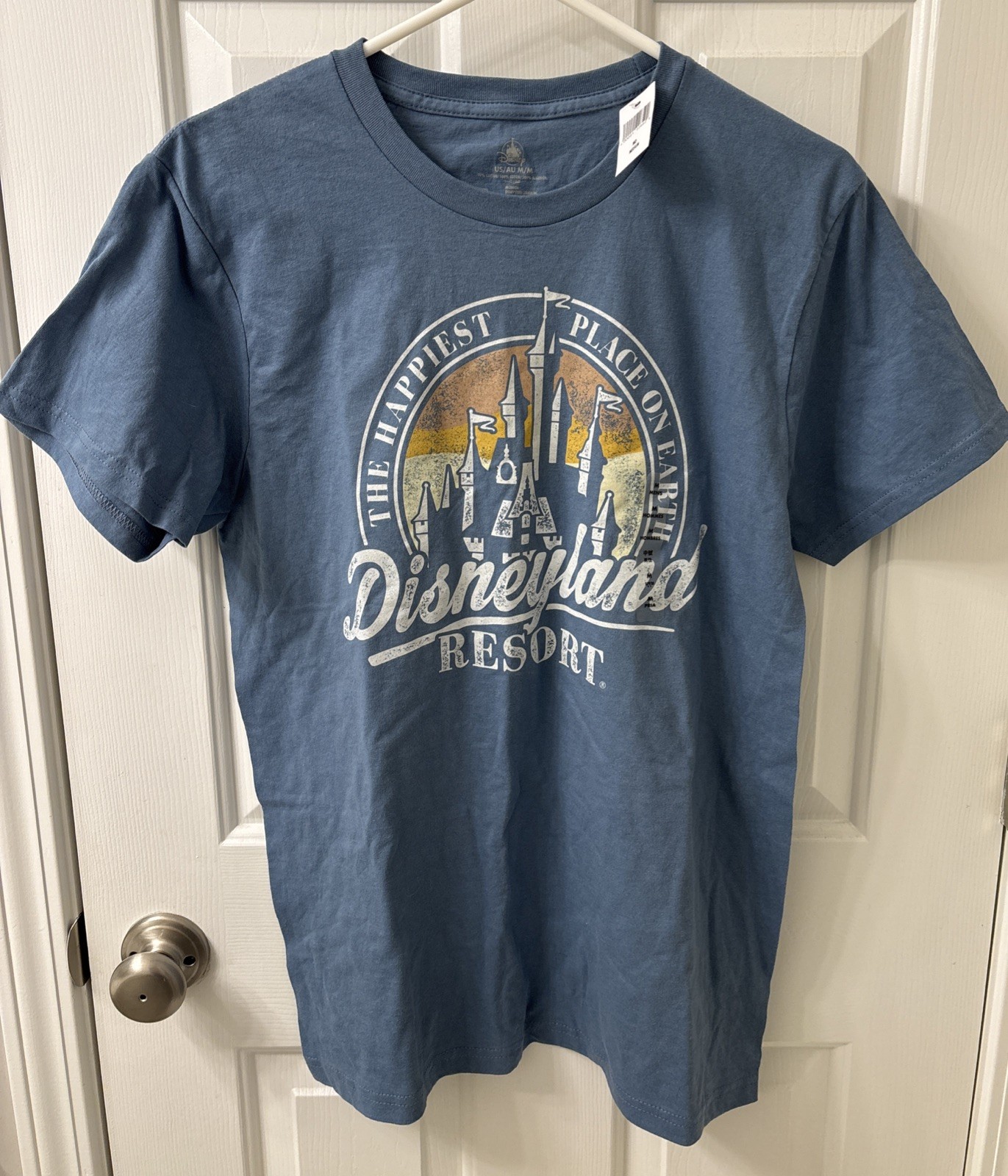 Disneyland Resort Graphic T-Shirt Mens M Medium Blue Happiest Place on Earth