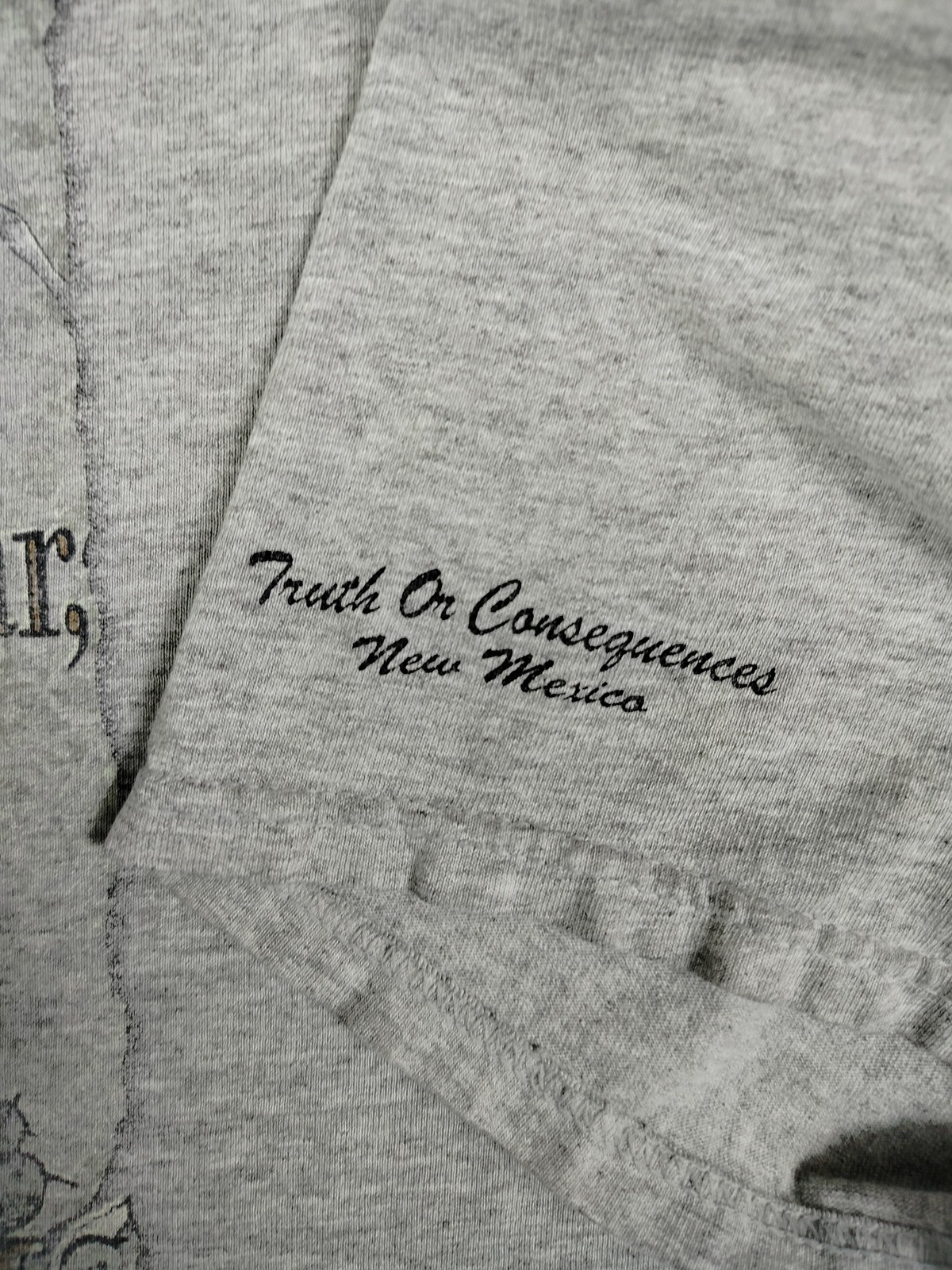 Vintage Hanes Truth Or Consequences Shirt Mens XL Gray Desert Quote Humor Casual