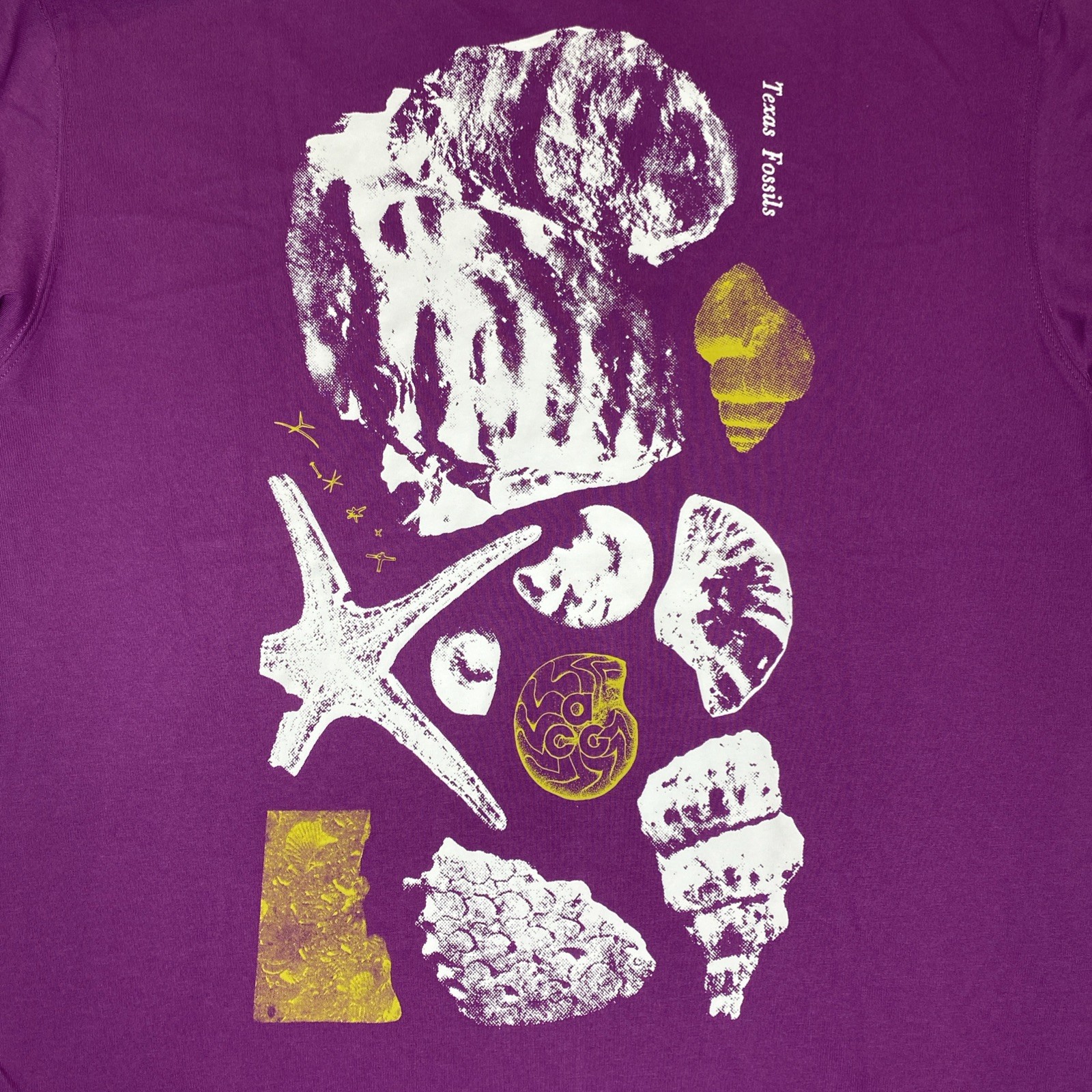 nike acg dri fit shirt Men’s Large Purple Texas Fossils New HV1296-505 Tee T