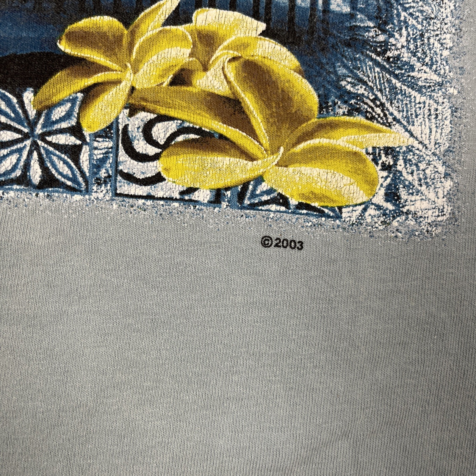 Vintage Y2K Speedo Graphic Tee Blue Large Double Sided VTG Beach Casual