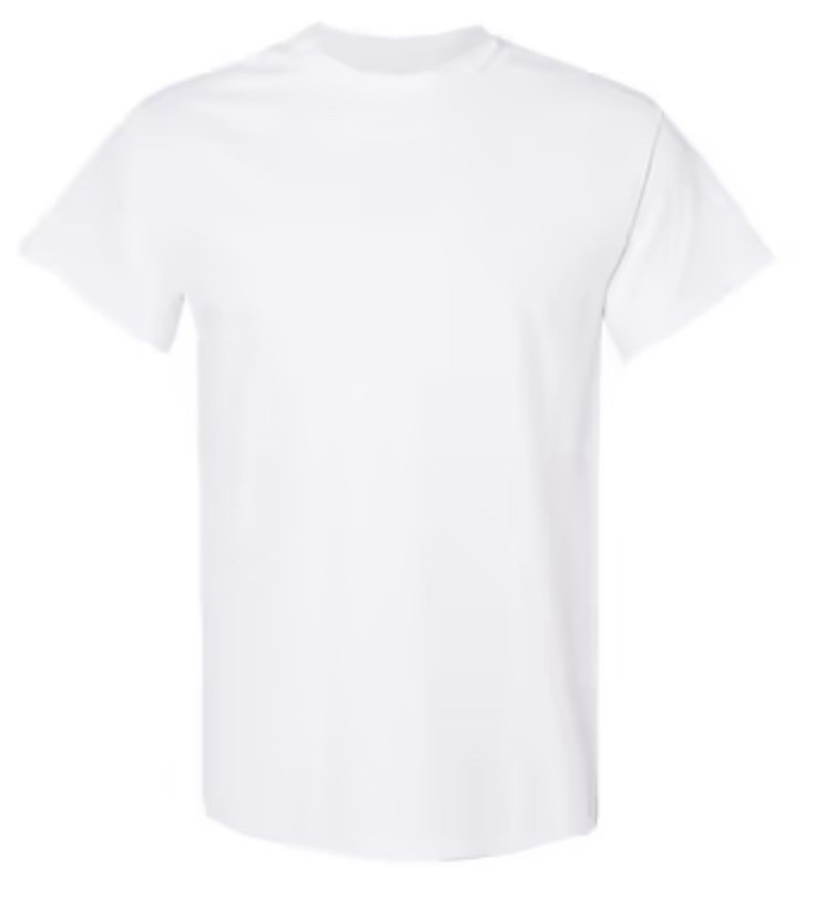 Gildan 5000 (2 Pack) Heavy Cotton Adult T Shirts White Size XL Tee Shirt NEW