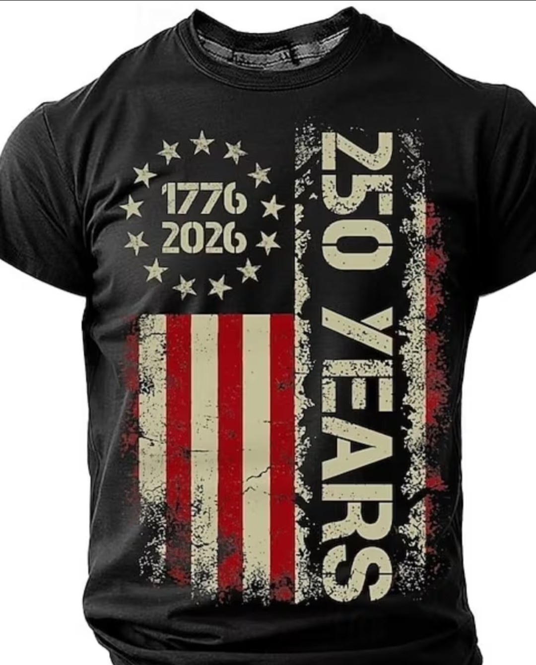 250 Years 🇺🇸 We The People USA Flag Patriotic T-Shirt Casual Tee XL 🗽