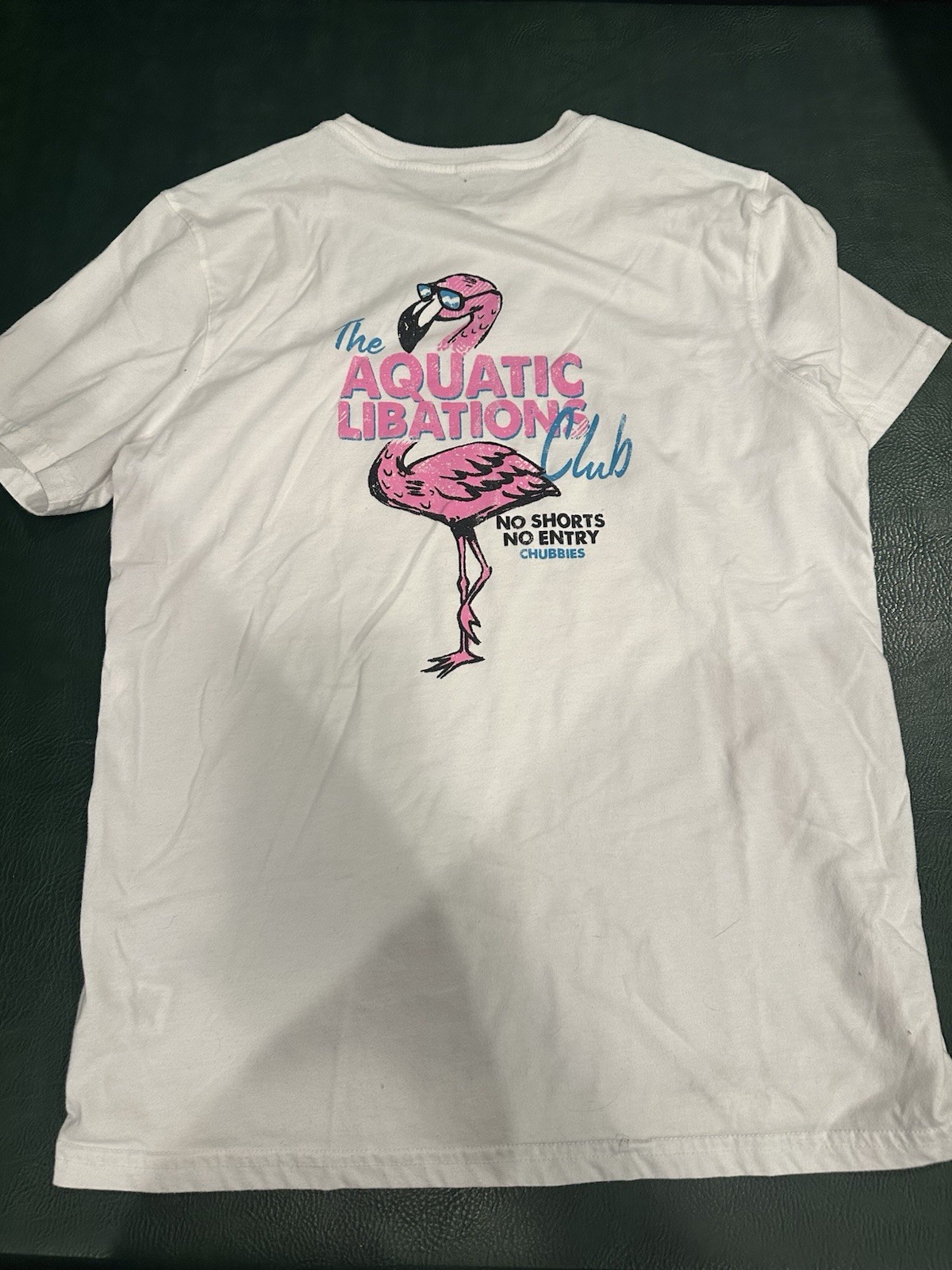 Chubbies The Aquatic Liberation Tshirt