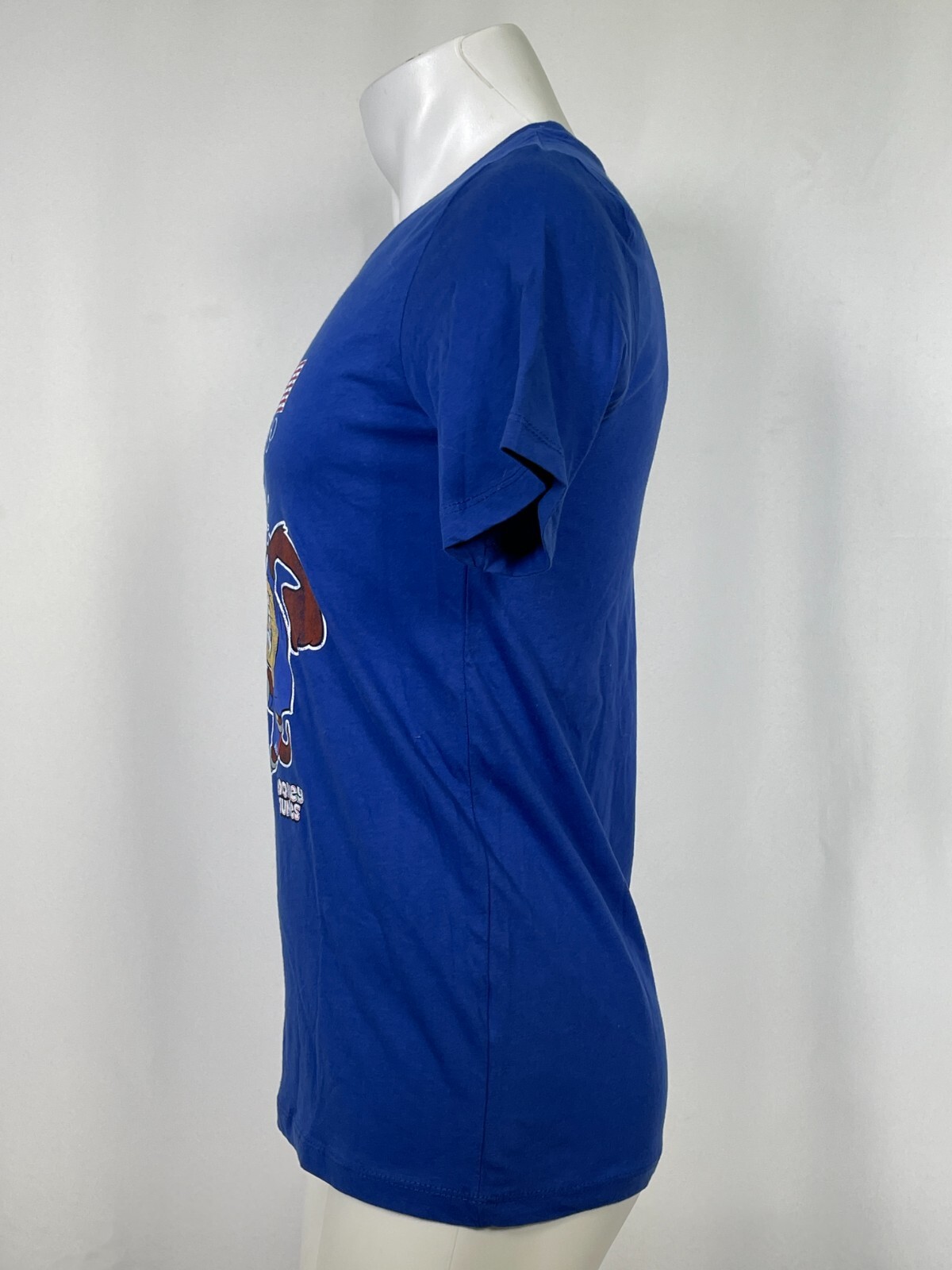Tasmanian Devil Team USA Looney Tunes Soccer Royal T-Shirt Youth LARGE 14-16