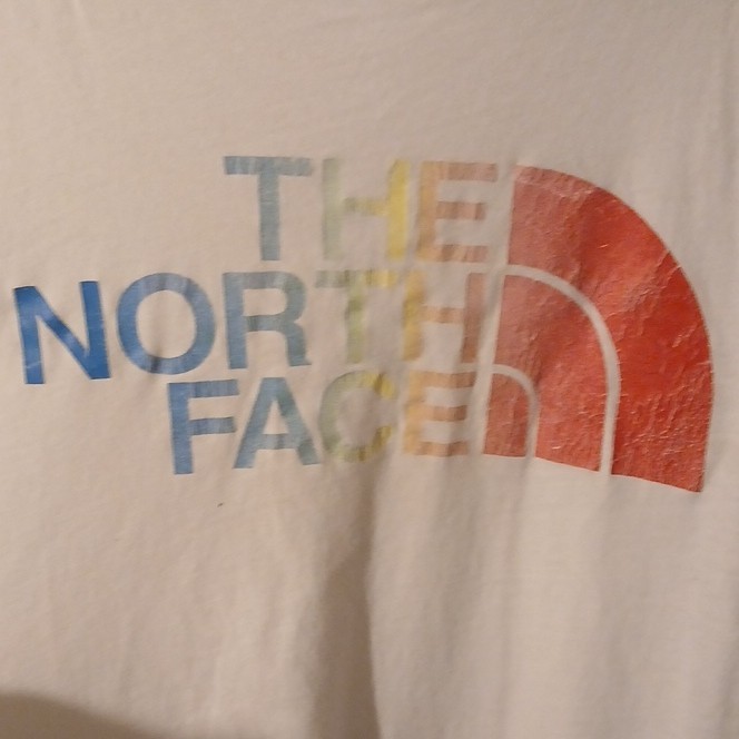 The North Face Men’s White Logo Graphic Print Crew Neck T-Shirt S