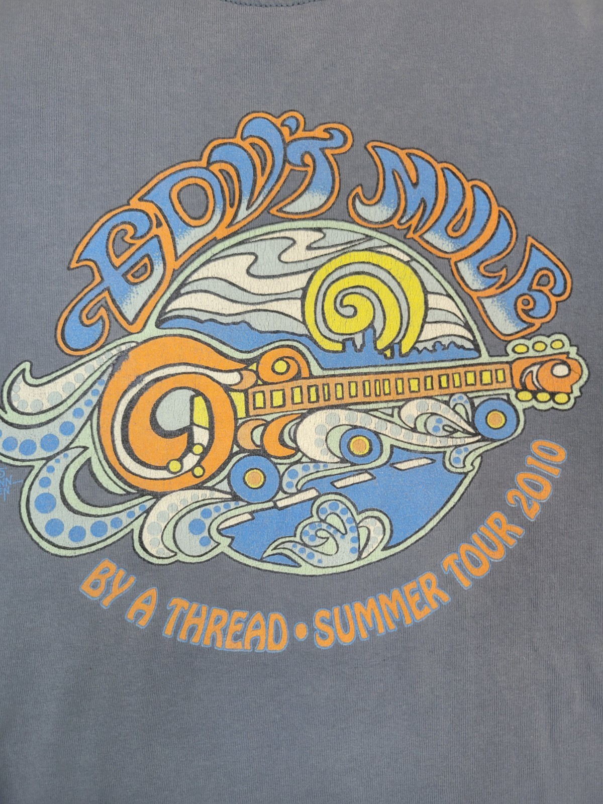 Govt Mule Vintage T-Shirt By A Thread Summer 2010 Tour Size XL
