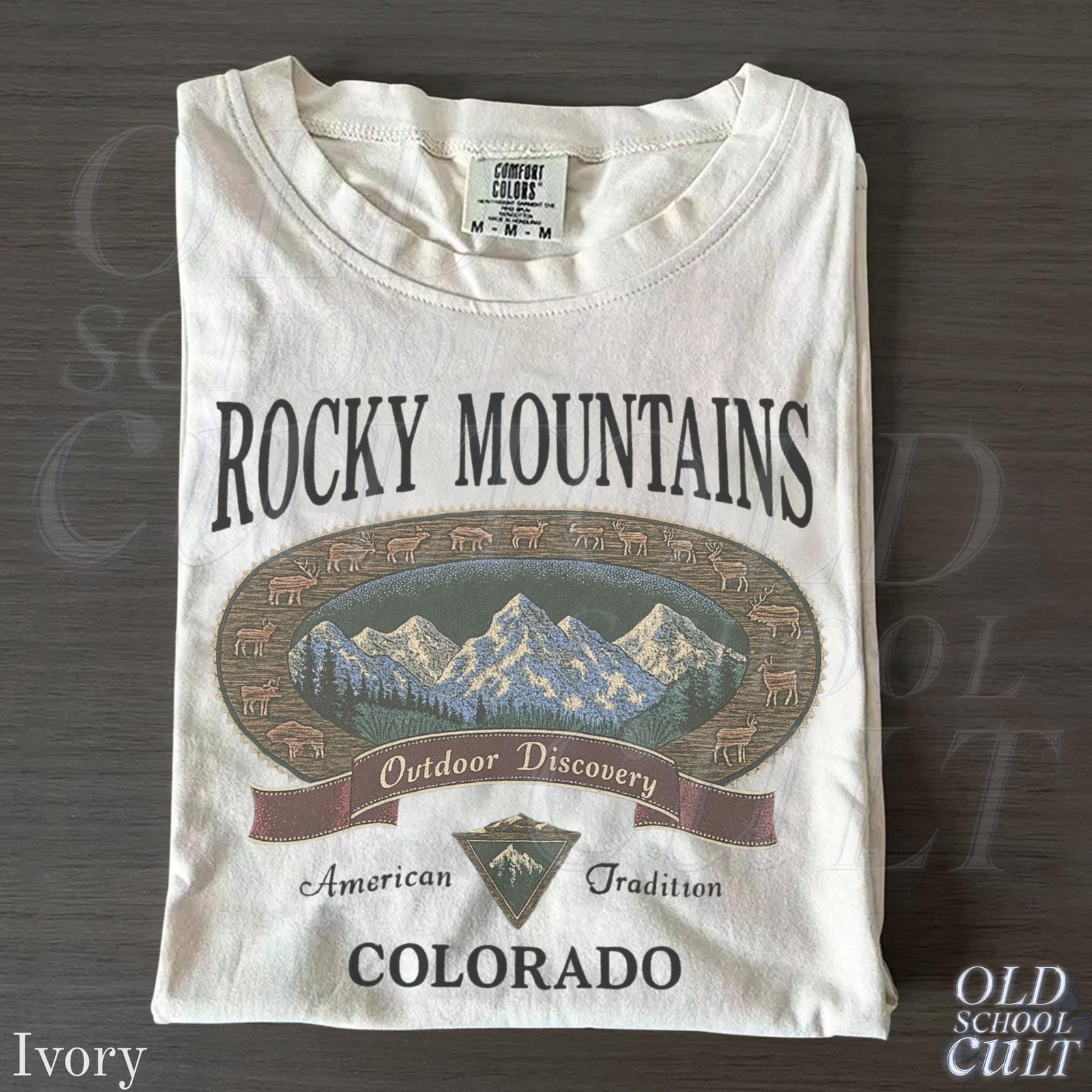 Vintage Rocky Mountains Colorado T-Shirt Outdoor Discovery Graphic Tee 90s
