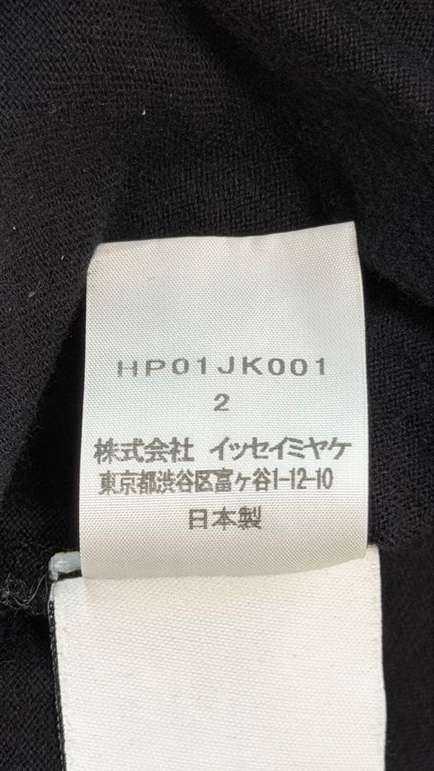 Homme Plissé Issey Miyake Archive-Style Pleated Mock-Neck Size 2