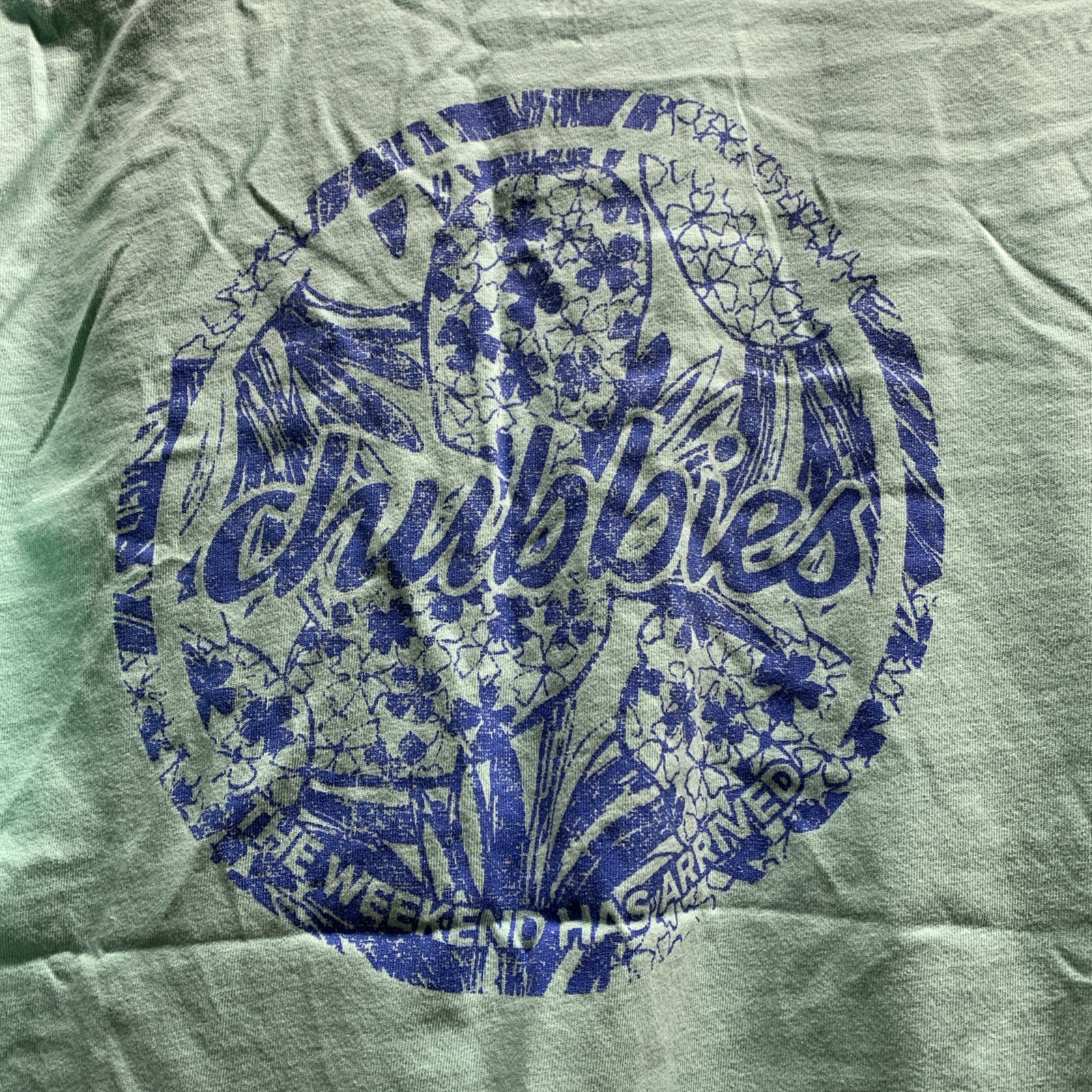 Chubbies THE WEEKEND HAS ARRIVED Mint Green Pocket Tee T Shirt MENS SIZE SMALL