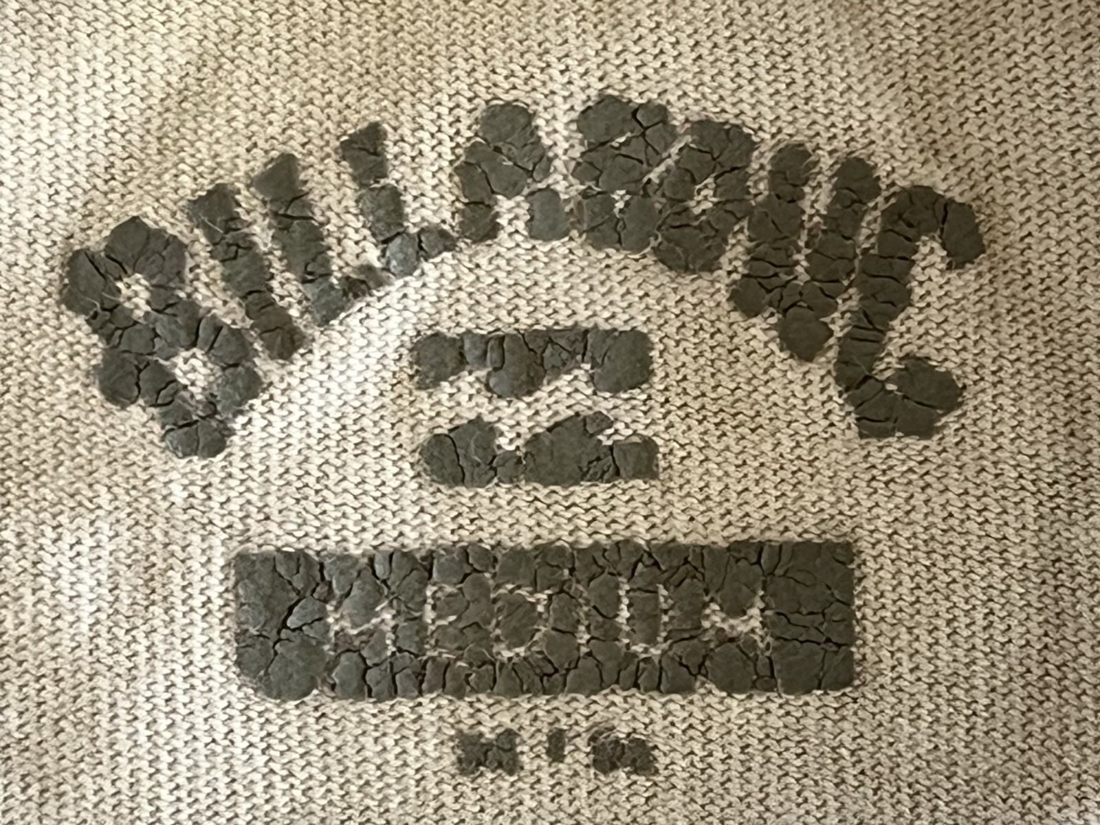 Billabong T Shirt Mens Medium White Wave Logo Quality Surf Beach See All pics