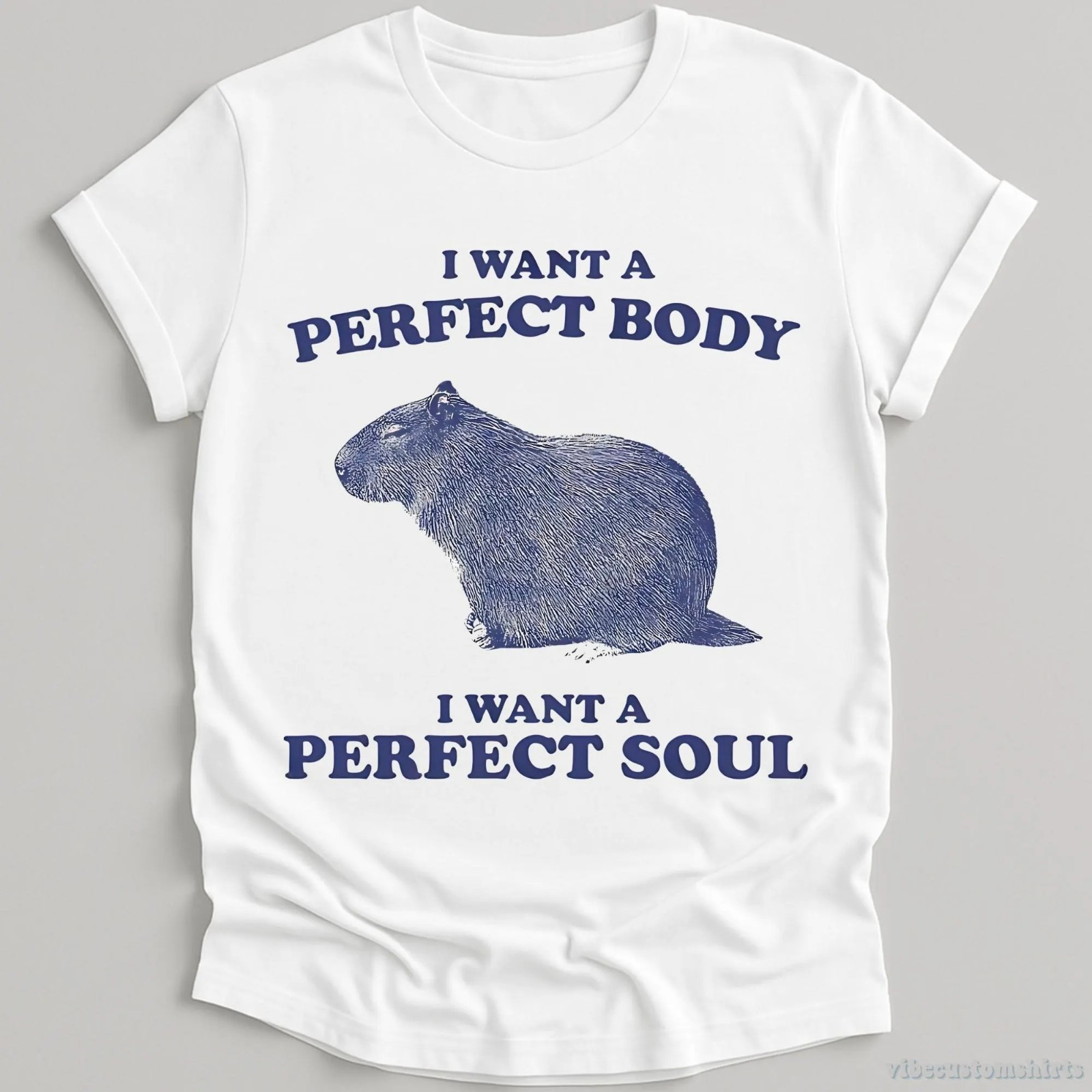 I Want a Perfect Body I Want a Perfect Soul Shirt, Funny Capybara Meme T-shirt