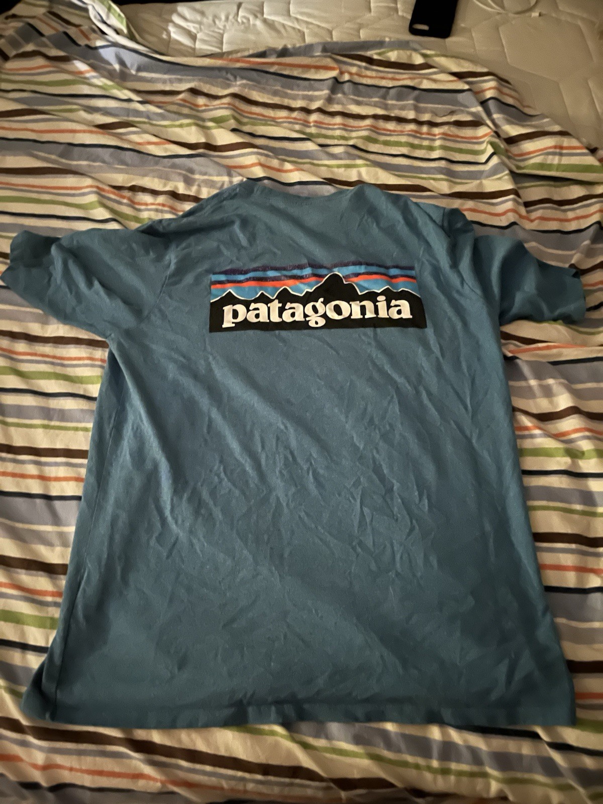 Patagonia Men’s M Blue Cotton Crew Neck Short Sleeve Logo Graphic T-Shirt