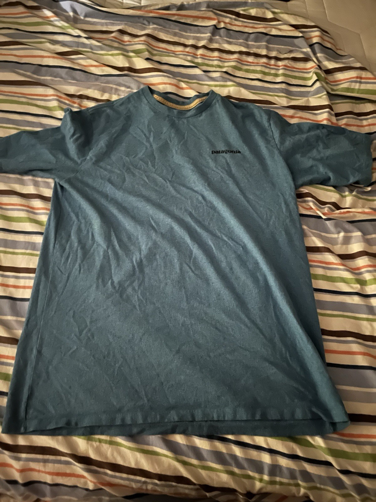 Patagonia Men’s M Blue Cotton Crew Neck Short Sleeve Logo Graphic T-Shirt