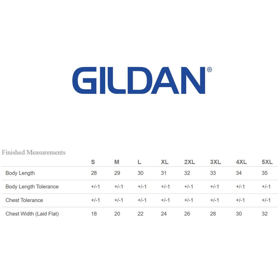 2 Pack Of Gildan G200 Adult Ultra Cotton Fashion T Shirt Blank Stylish T-Shirt