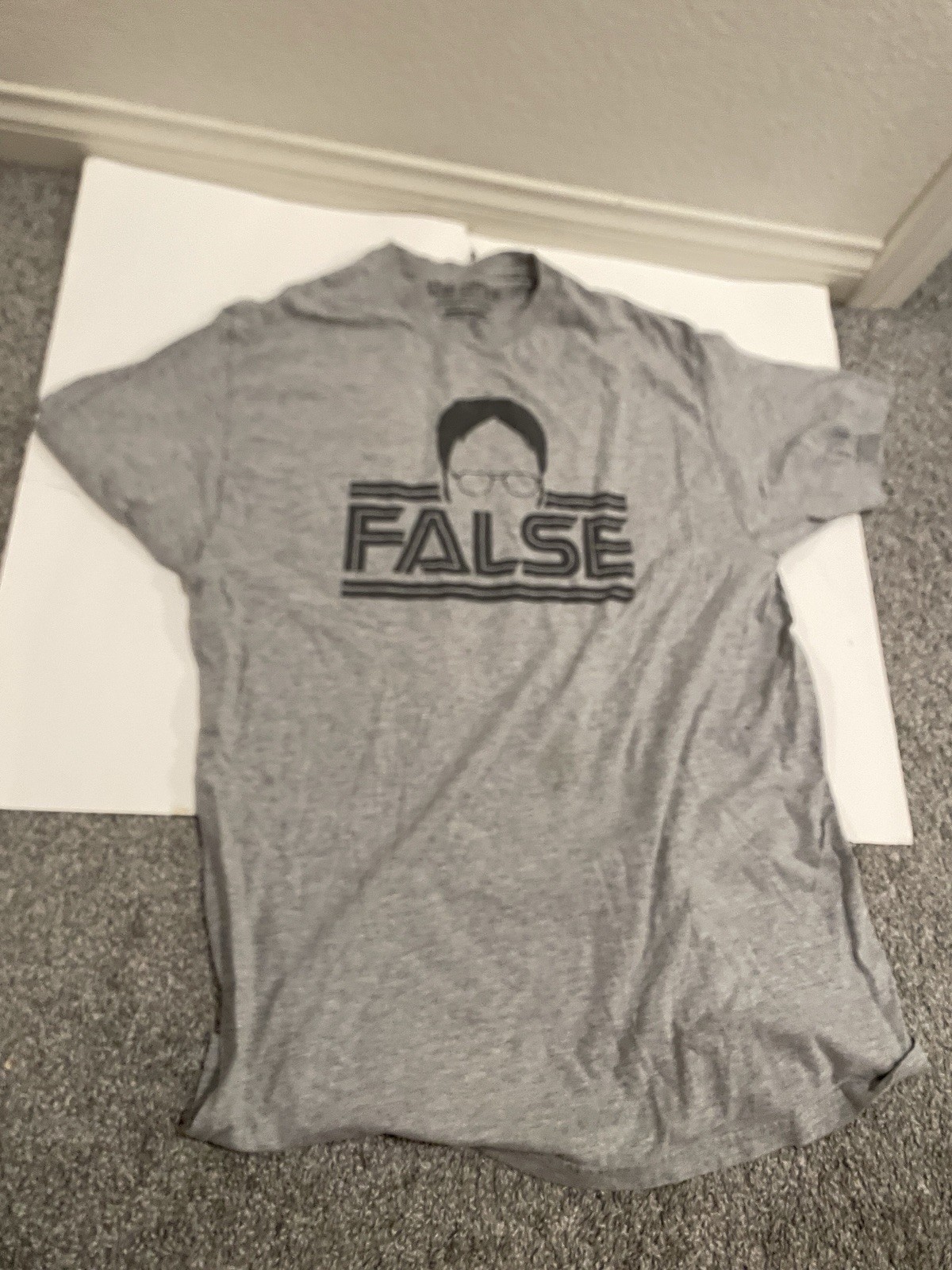 The Office FALSE DWIGHT SCHRUTE ADULT GRAY LARGE T-SHIRT RIPPLE JUNCTION