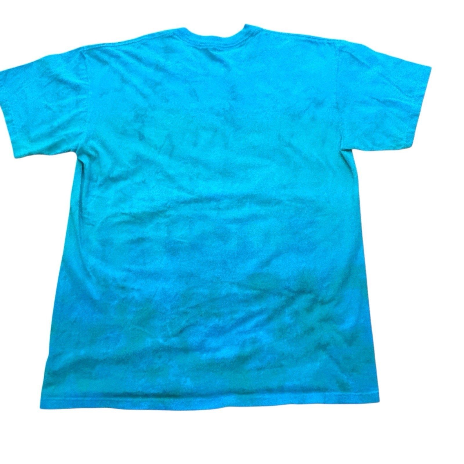 Liquid Blue Sea Turtles Aquatic Nature Blue Cotton Graphic Tee Men’s Size Large
