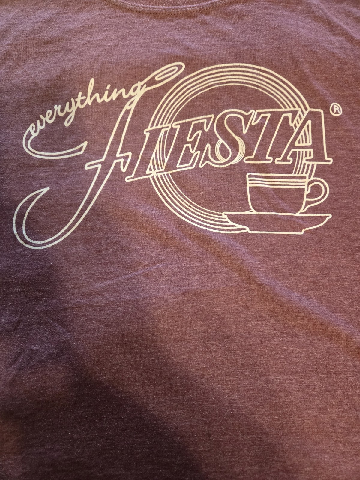 Flatwoods Monster & Everything Fiesta Tshirts Lot Of 2 XXL Gildan