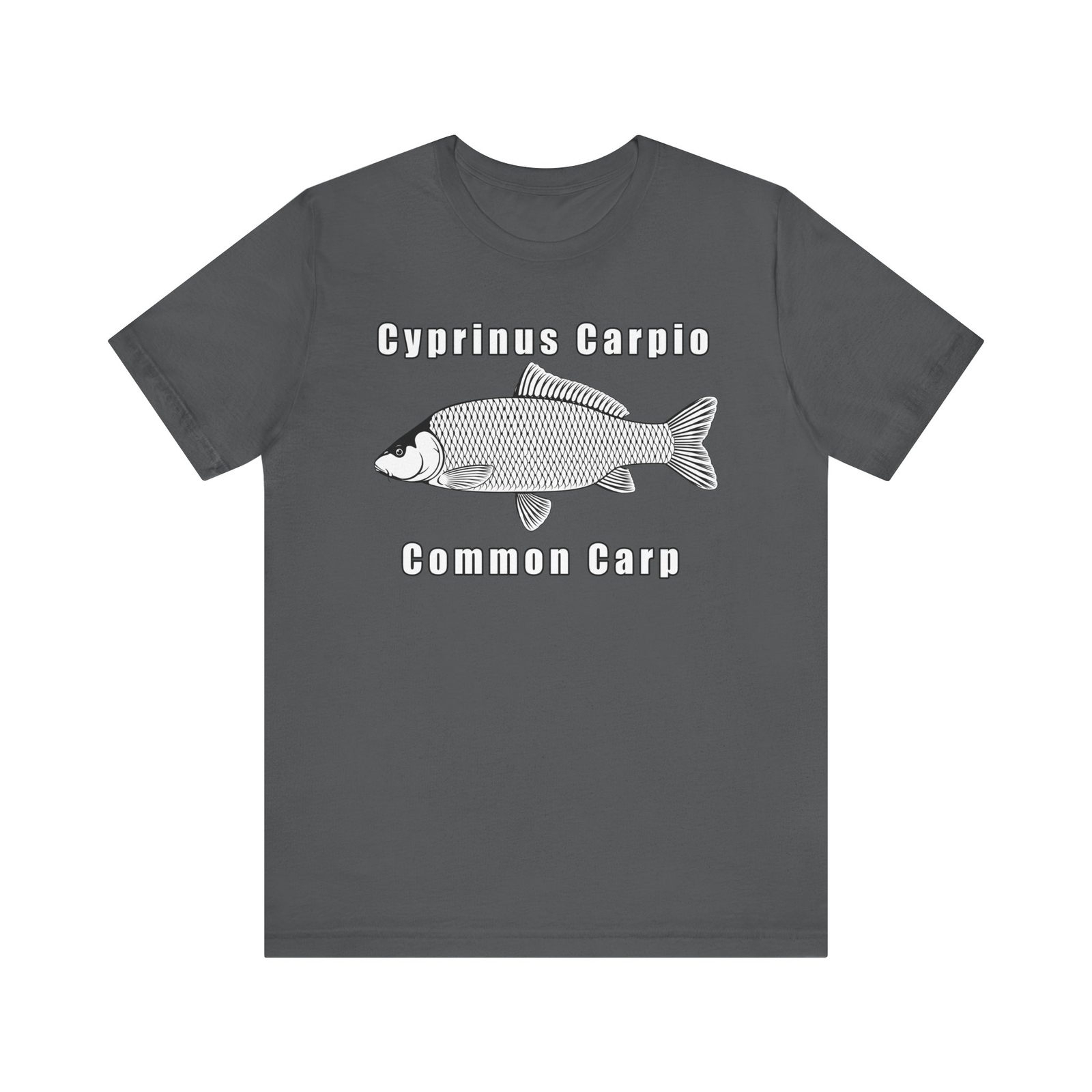 Cyprinus Carpio Common Carp Bella+Canvas 3001
