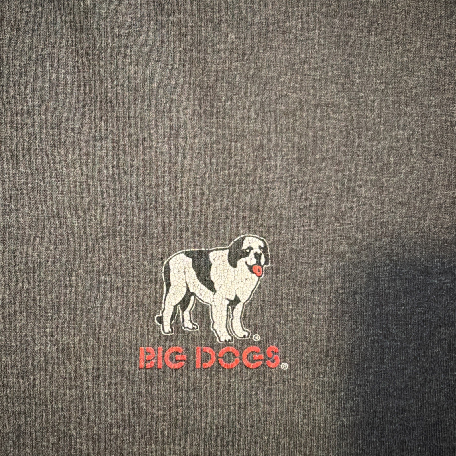 Big Dogs Shirt “Can You Shift Gears Or Are You Stuck In Stupid” Gray T Shirt XL