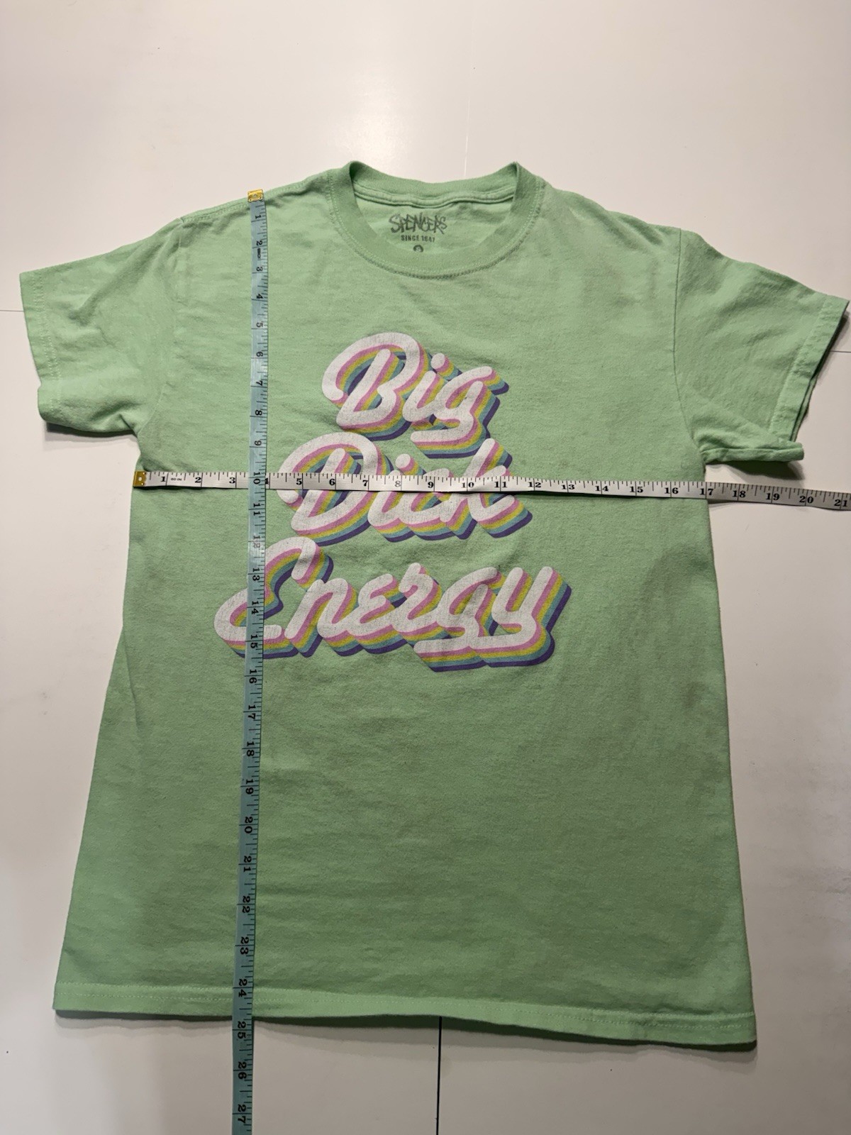 Spencer’s Big Dick Energy Funny Graphic T Shirt Green Rainbow Adult S