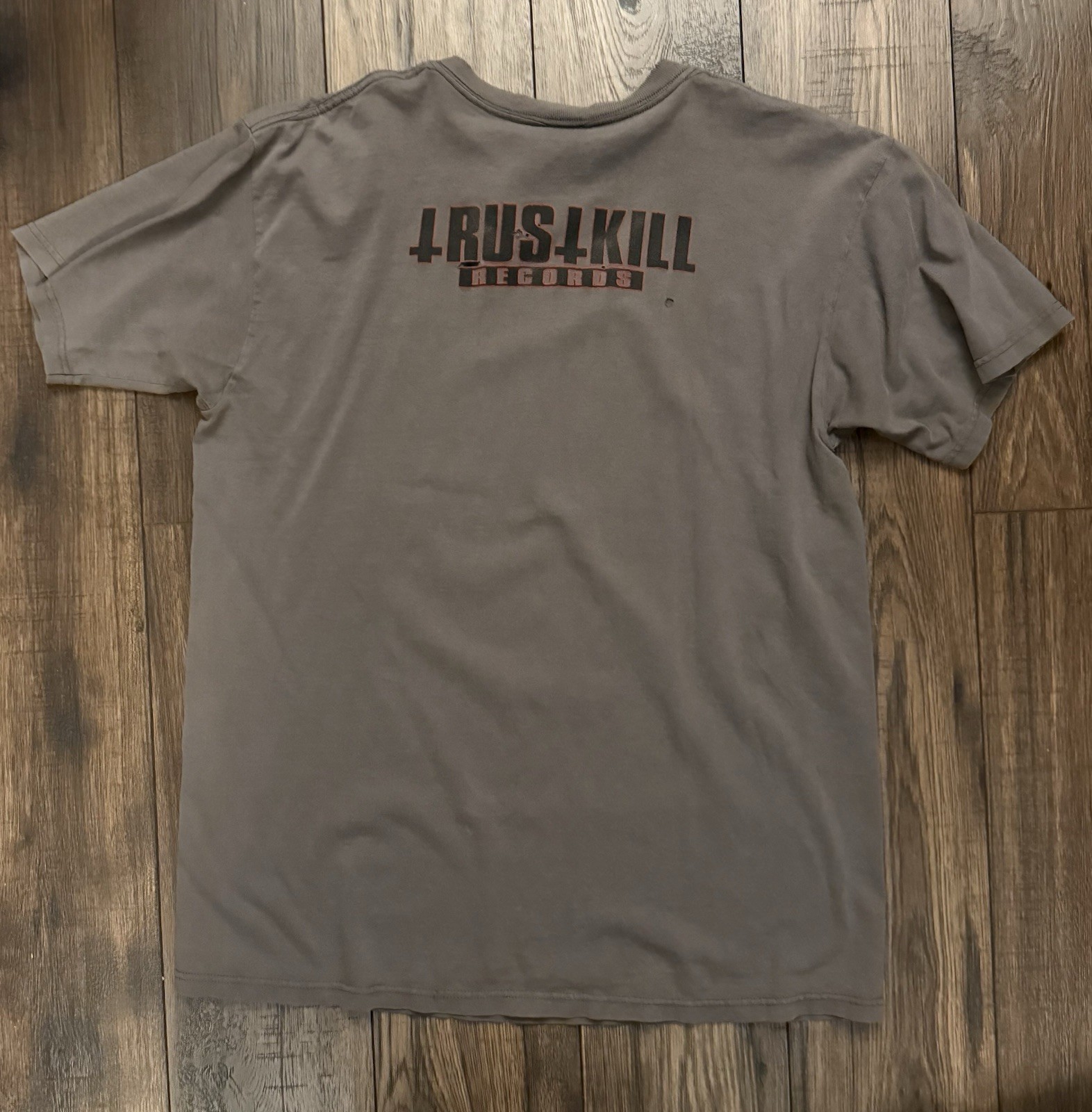 Vintage Poison the Well Shirt Trustkill Records Anvil Size L Grey Band Tee