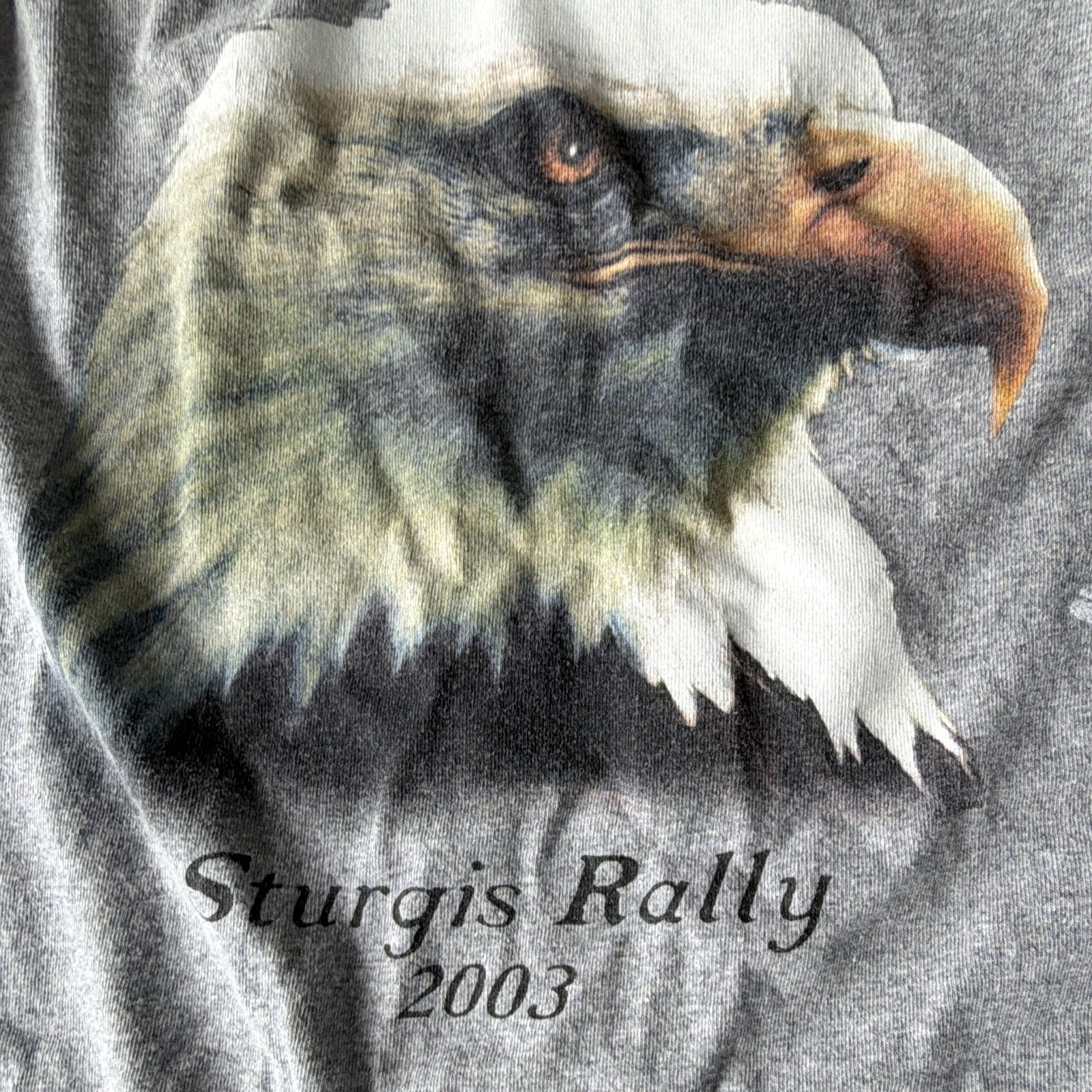 Sturgis Rally 2003 Eagle Mt Rushmore Gray Graphic Tee 2XL Stained Collar