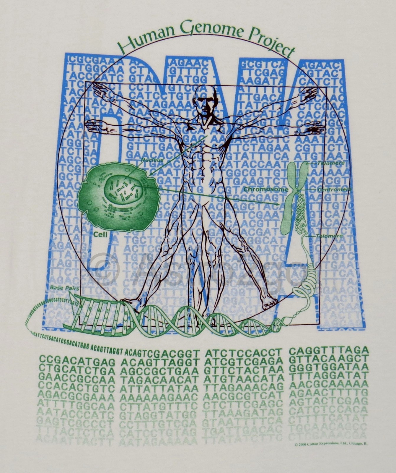 HUMAN GENOME PROJECT–DNA Chromosomes Helix Biology Life Science T shirt M-3XL